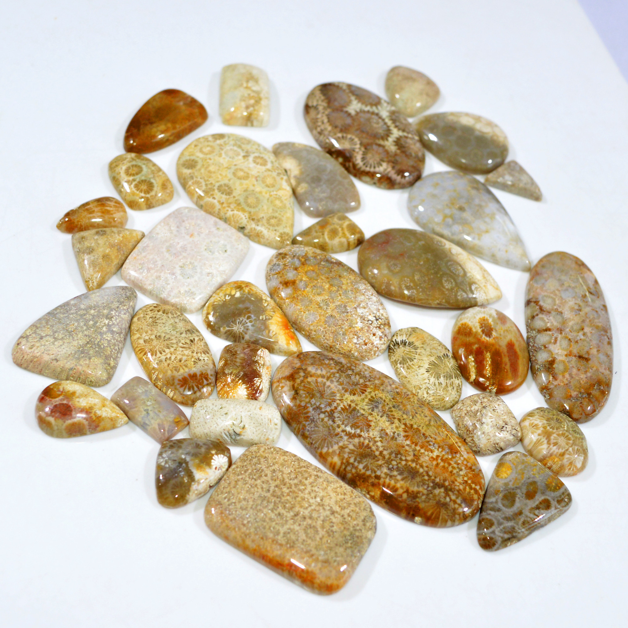 32Pcs 1135Ct Natural Fossil Coral Loose Cabochon Gemstone Lot Mixed Shapes For Pendants Handmade Jewelry Supplies 60x26 13x10mm 3165