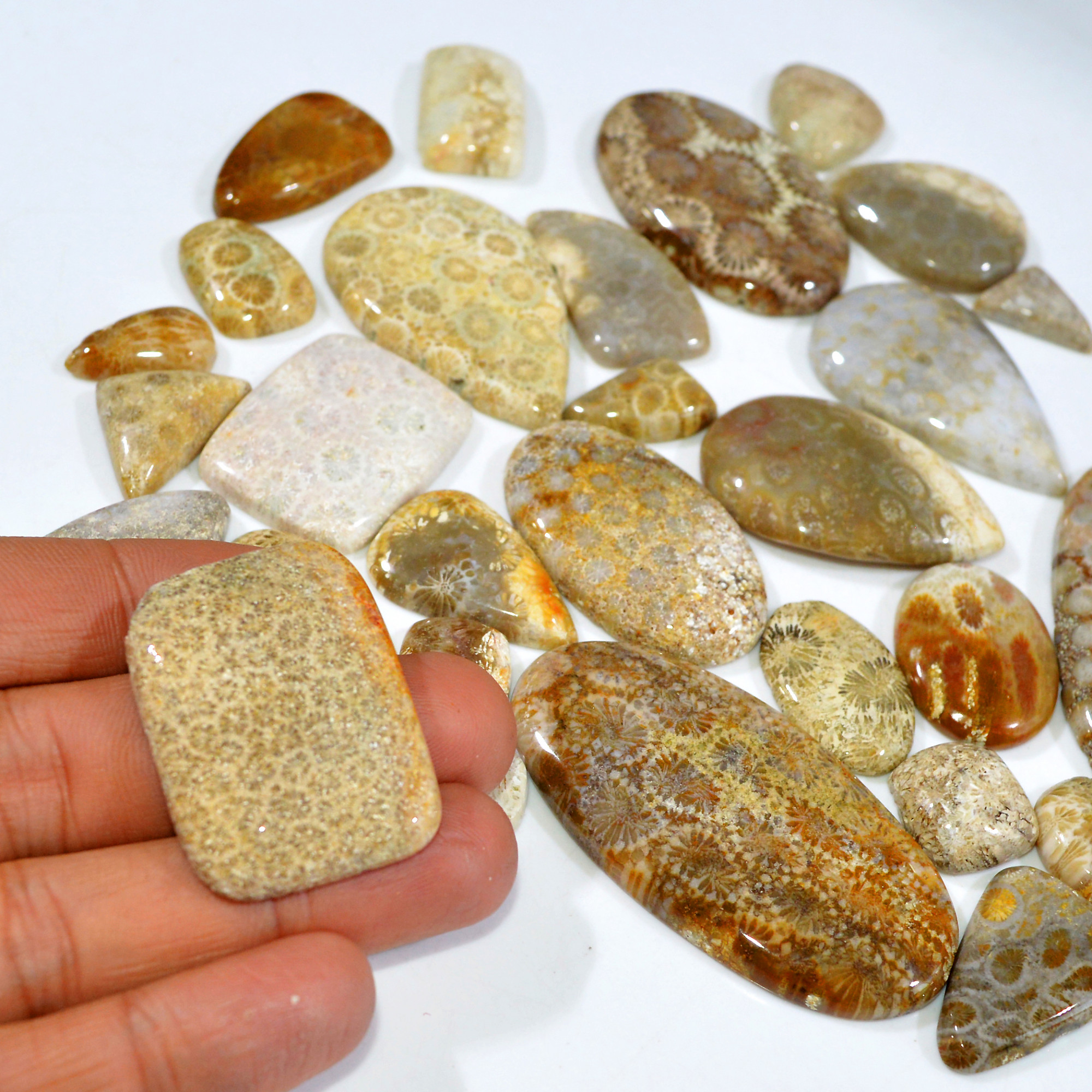 32Pcs 1135Ct Natural Fossil Coral Loose Cabochon Gemstone Lot Mixed Shapes For Pendants Handmade Jewelry Supplies 60x26 13x10mm 3165