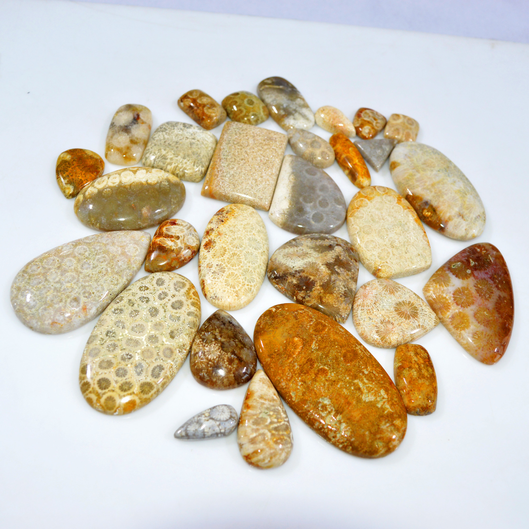 29Pcs 1148Ct Natural Fossil Coral Loose Cabochon Gemstone Lot Mixed Shapes For Pendants Handmade Jewelry Supplies 60x30 15x13mm 3166