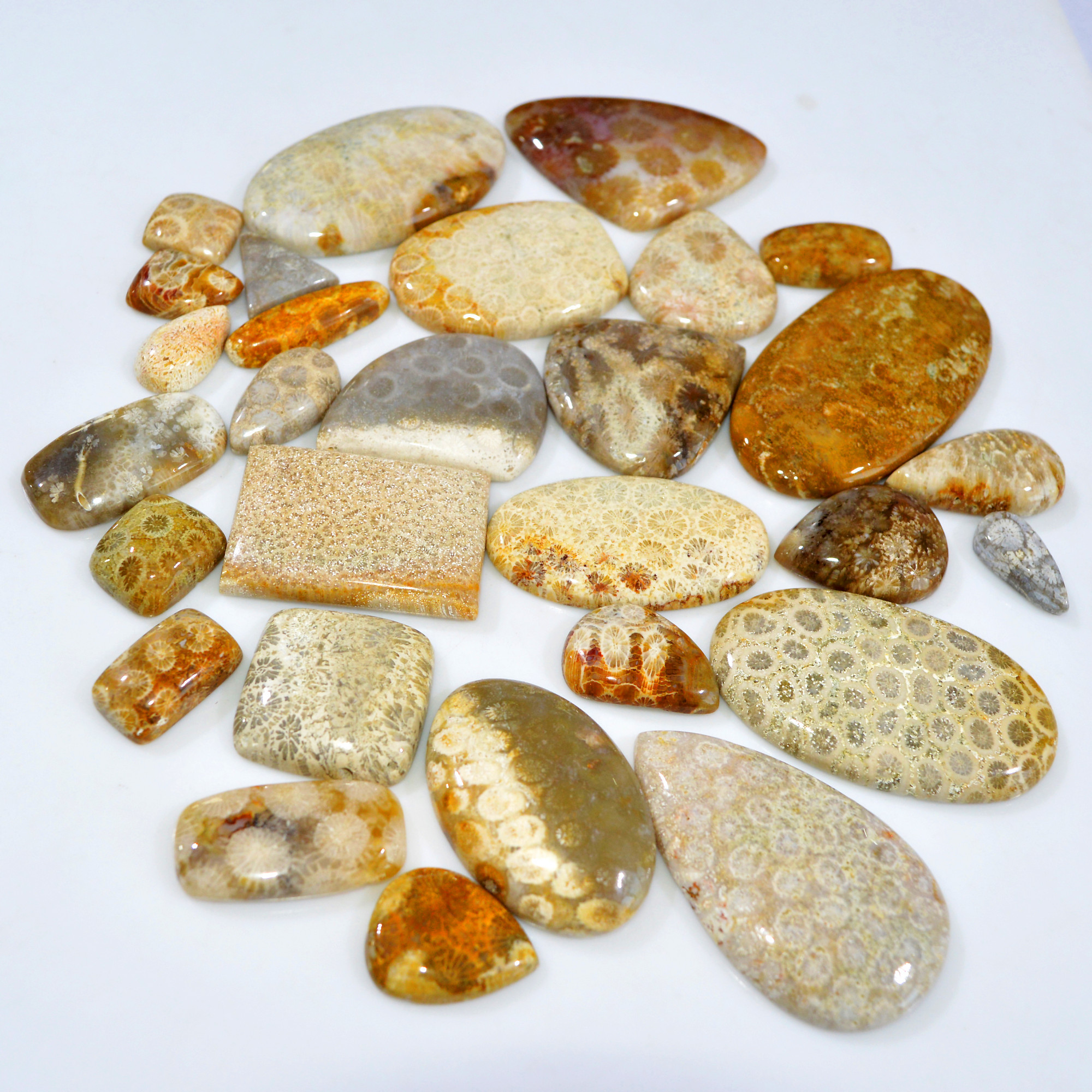 29Pcs 1148Ct Natural Fossil Coral Loose Cabochon Gemstone Lot Mixed Shapes For Pendants Handmade Jewelry Supplies 60x30 15x13mm 3166