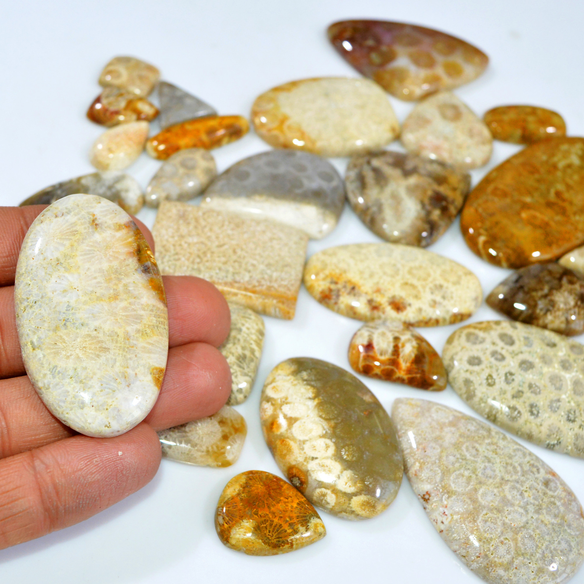 29Pcs 1148Ct Natural Fossil Coral Loose Cabochon Gemstone Lot Mixed Shapes For Pendants Handmade Jewelry Supplies 60x30 15x13mm 3166