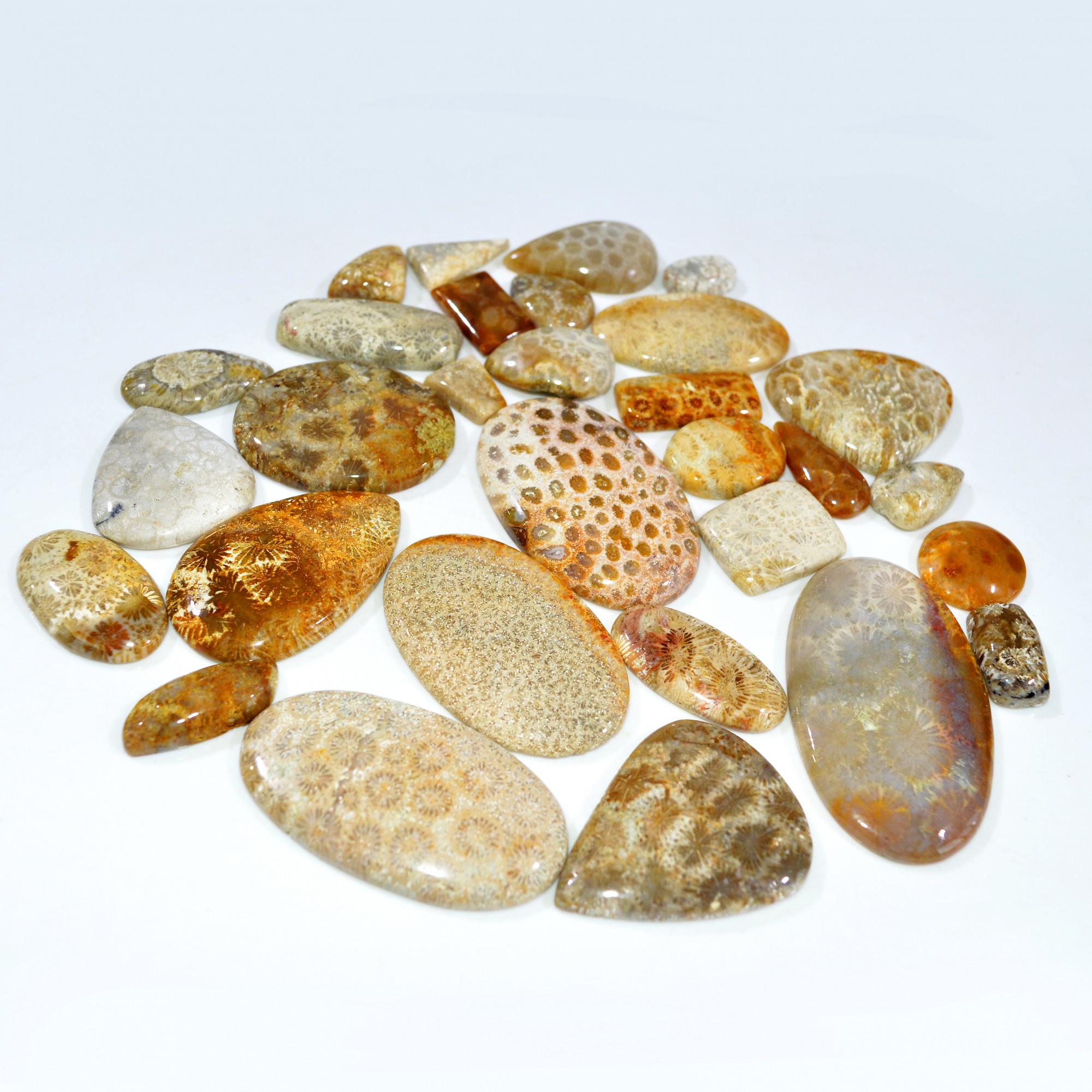 29Pcs 1060Ct Natural Fossil Coral Loose Cabochon Gemstone Lot Mixed Shapes For Pendants Handmade Jewelry Supplies 50x40 20x10mm 3167