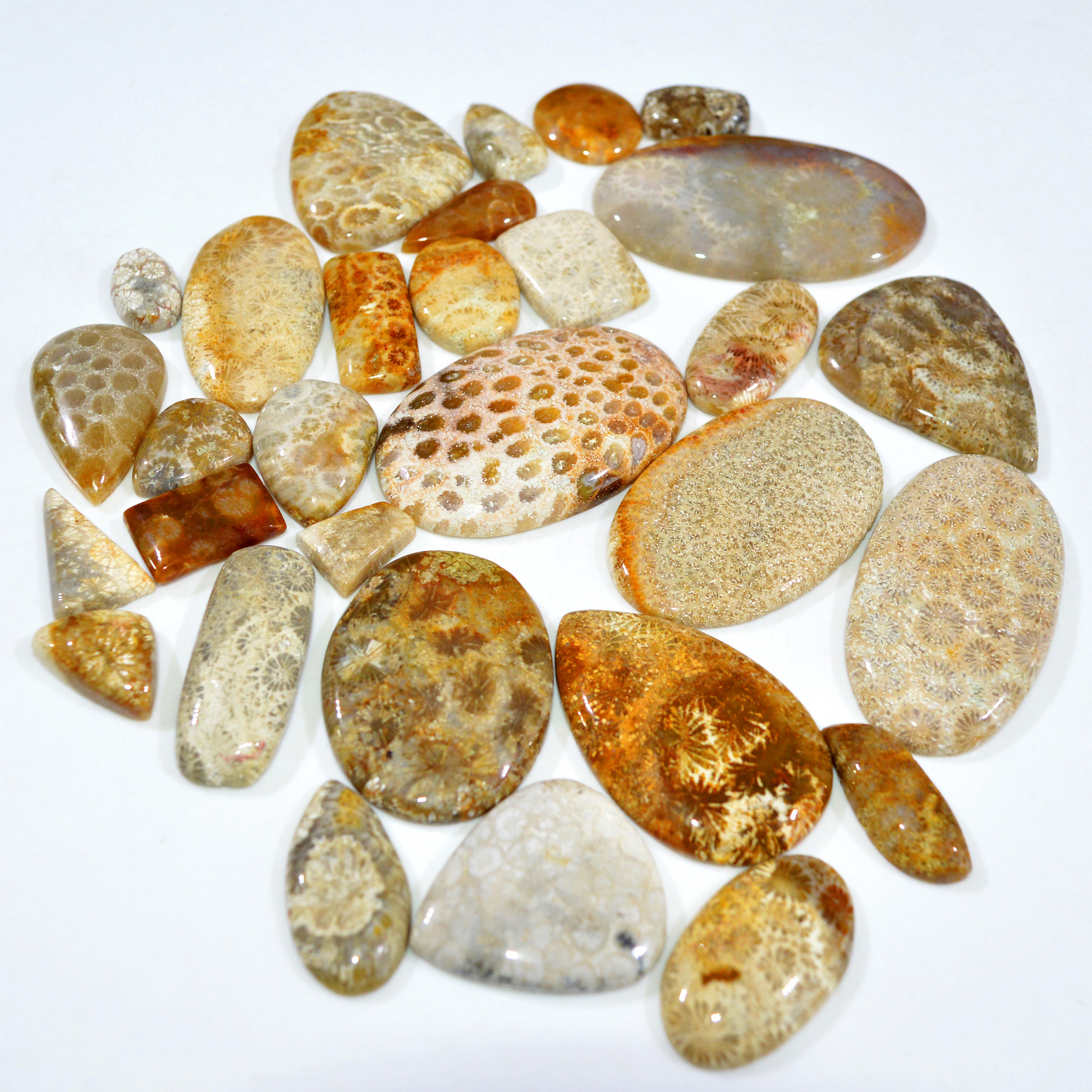 29Pcs 1060Ct Natural Fossil Coral Loose Cabochon Gemstone Lot Mixed Shapes For Pendants Handmade Jewelry Supplies 50x40 20x10mm 3167