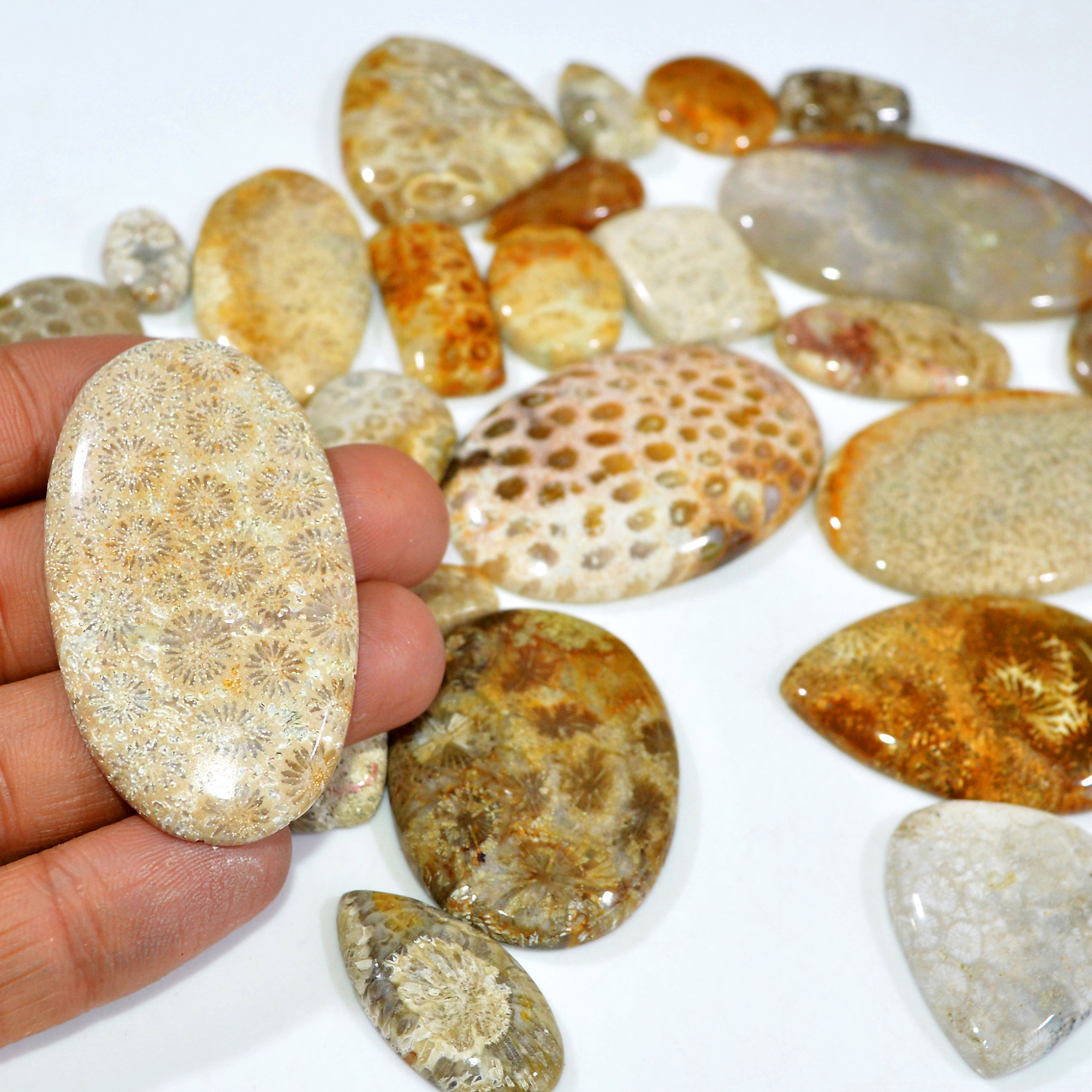 29Pcs 1060Ct Natural Fossil Coral Loose Cabochon Gemstone Lot Mixed Shapes For Pendants Handmade Jewelry Supplies 50x40 20x10mm 3167