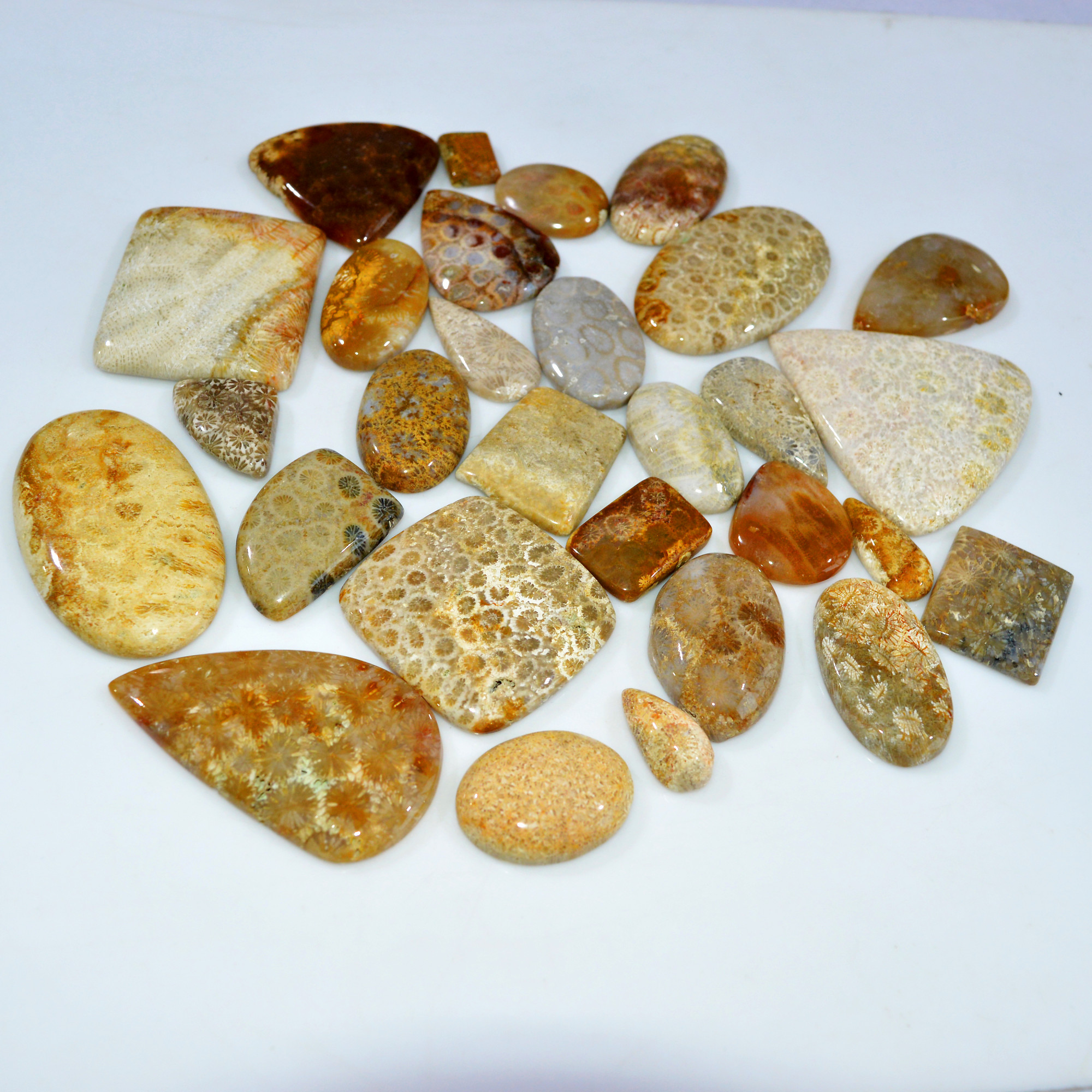 29Pcs 1170Ct Natural Fossil Coral Loose Cabochon Gemstone Lot Mixed Shapes For Pendants Handmade Jewelry Supplies 50x30 20x10mm 3168