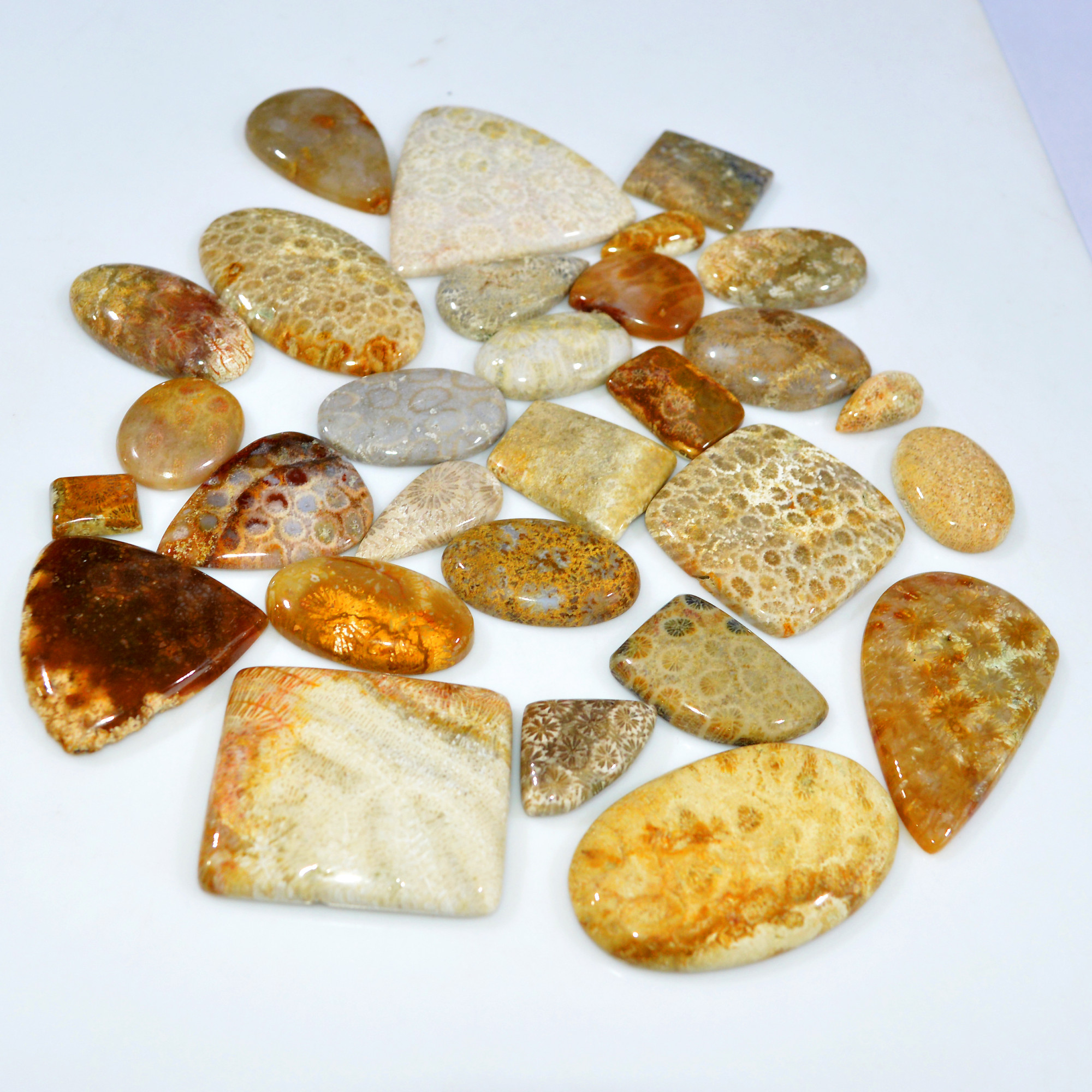 29Pcs 1170Ct Natural Fossil Coral Loose Cabochon Gemstone Lot Mixed Shapes For Pendants Handmade Jewelry Supplies 50x30 20x10mm 3168