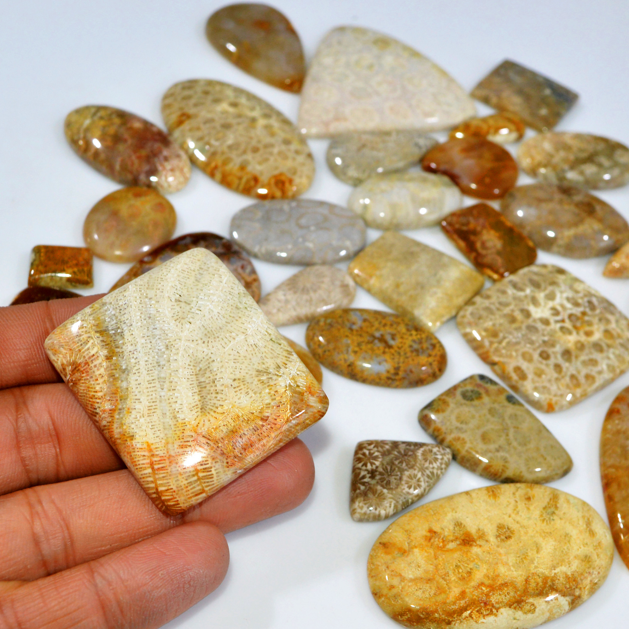 29Pcs 1170Ct Natural Fossil Coral Loose Cabochon Gemstone Lot Mixed Shapes For Pendants Handmade Jewelry Supplies 50x30 20x10mm 3168