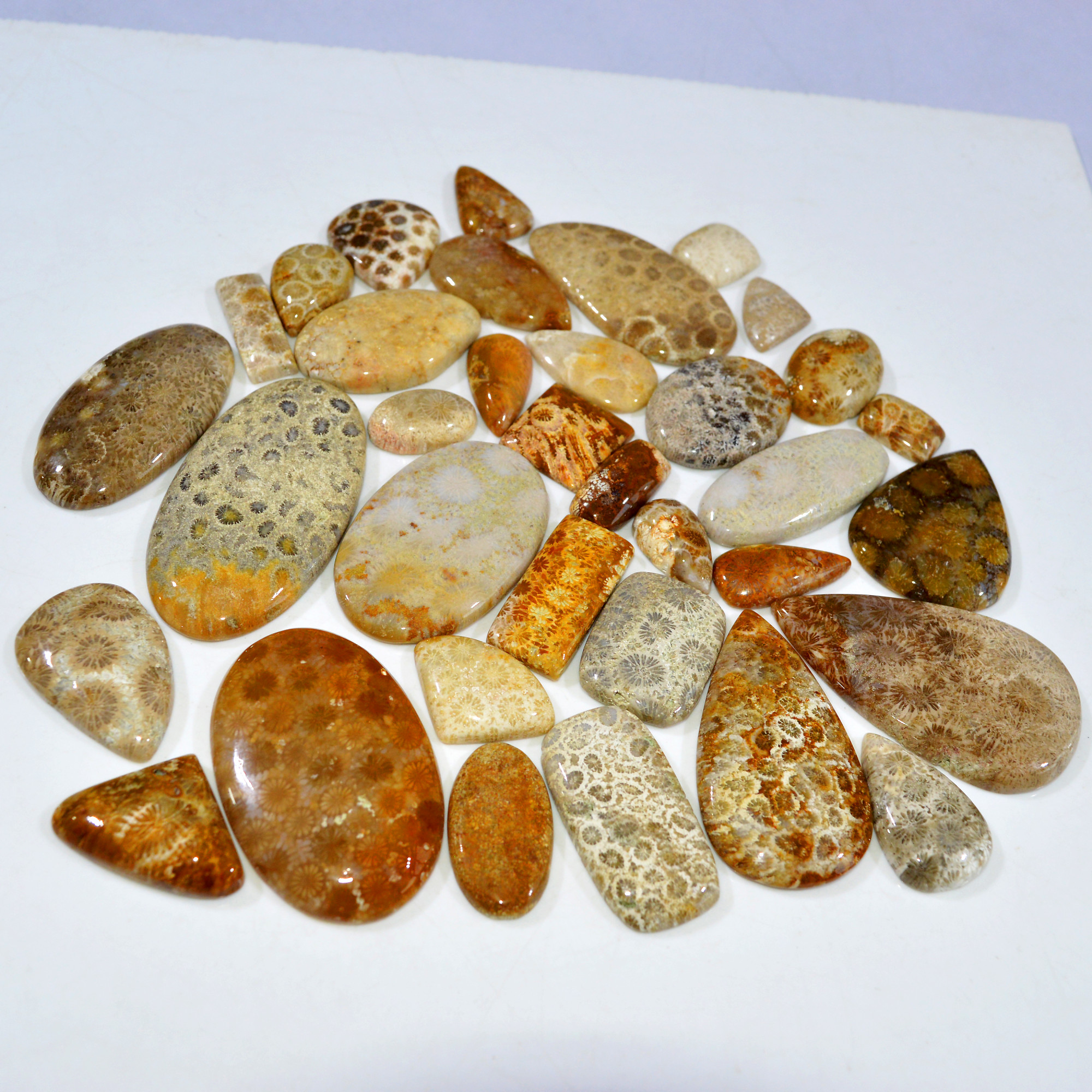 35Pcs 1187Ct Natural Fossil Coral Loose Cabochon Gemstone Lot Mixed Shapes For Pendants Handmade Jewelry Supplies 60x30 15x10mm 3169