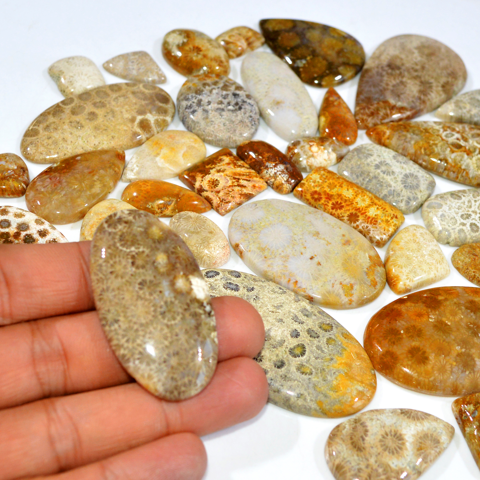 35Pcs 1187Ct Natural Fossil Coral Loose Cabochon Gemstone Lot Mixed Shapes For Pendants Handmade Jewelry Supplies 60x30 15x10mm 3169