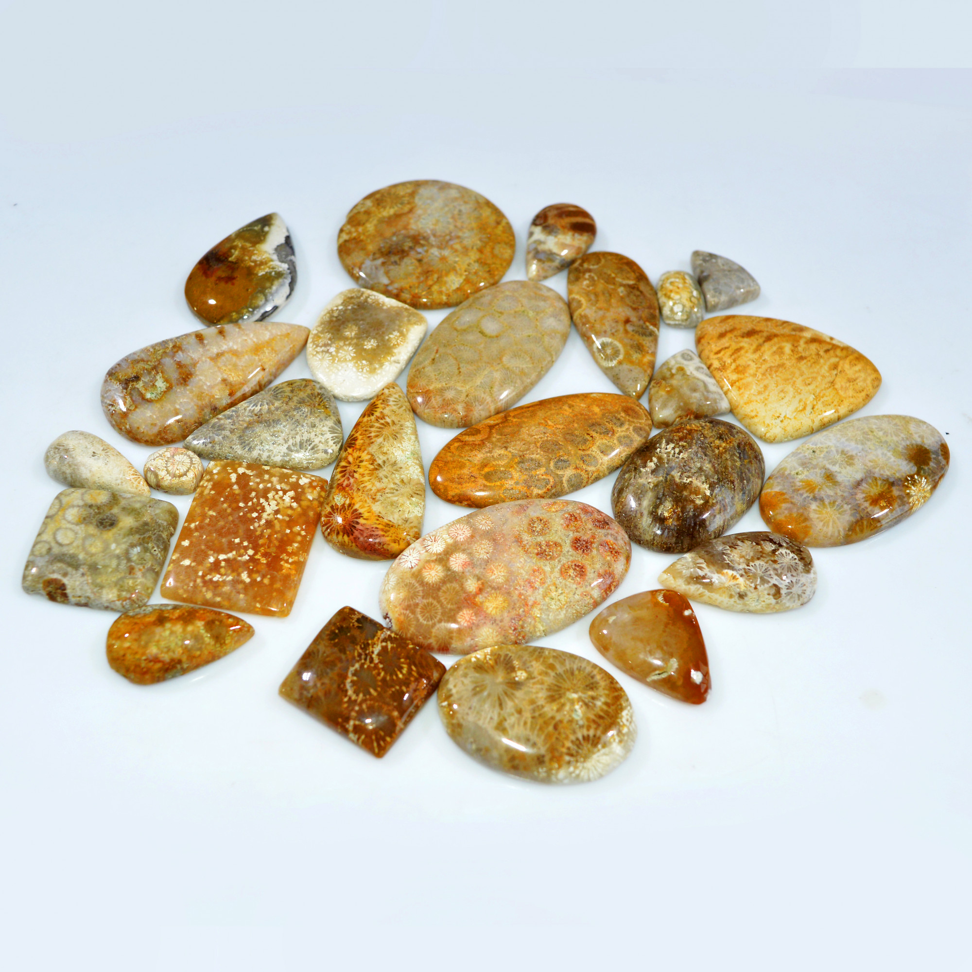 26Pcs 826Ct Natural Fossil Coral Loose Cabochon Gemstone Lot Mixed Shapes For Pendants Handmade Jewelry Supplies 50x25 10x7mm 3170