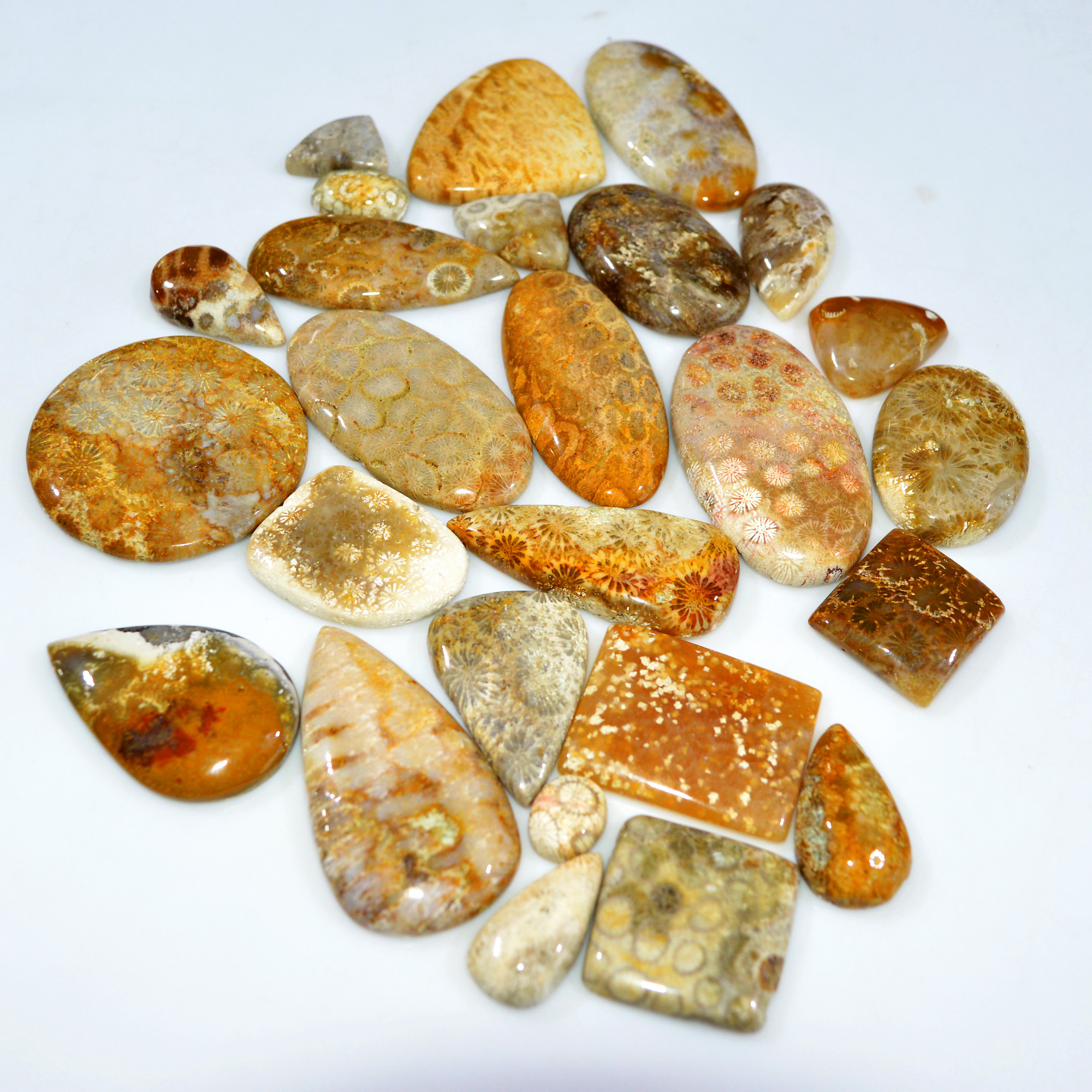 26Pcs 826Ct Natural Fossil Coral Loose Cabochon Gemstone Lot Mixed Shapes For Pendants Handmade Jewelry Supplies 50x25 10x7mm 3170