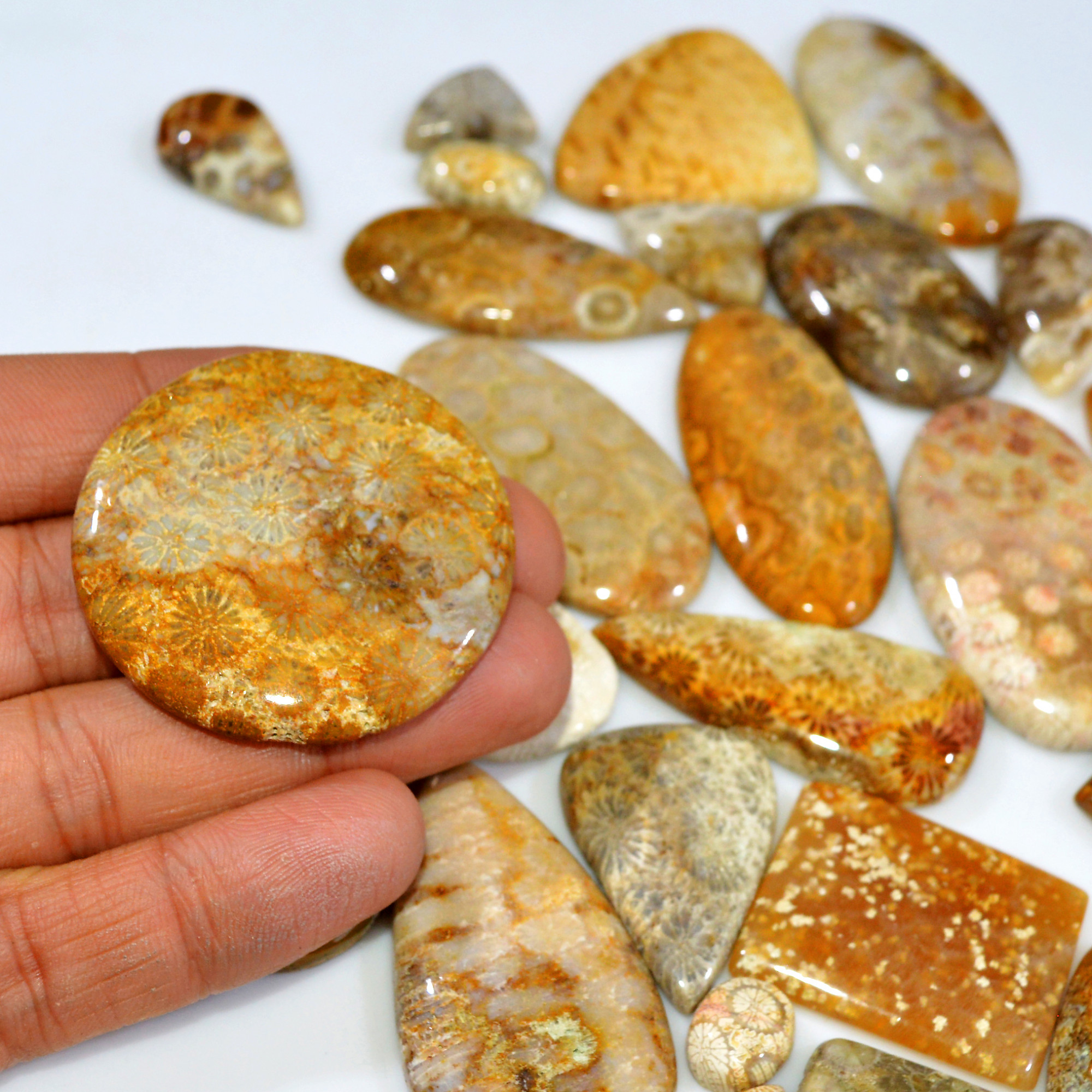 26Pcs 826Ct Natural Fossil Coral Loose Cabochon Gemstone Lot Mixed Shapes For Pendants Handmade Jewelry Supplies 50x25 10x7mm 3170