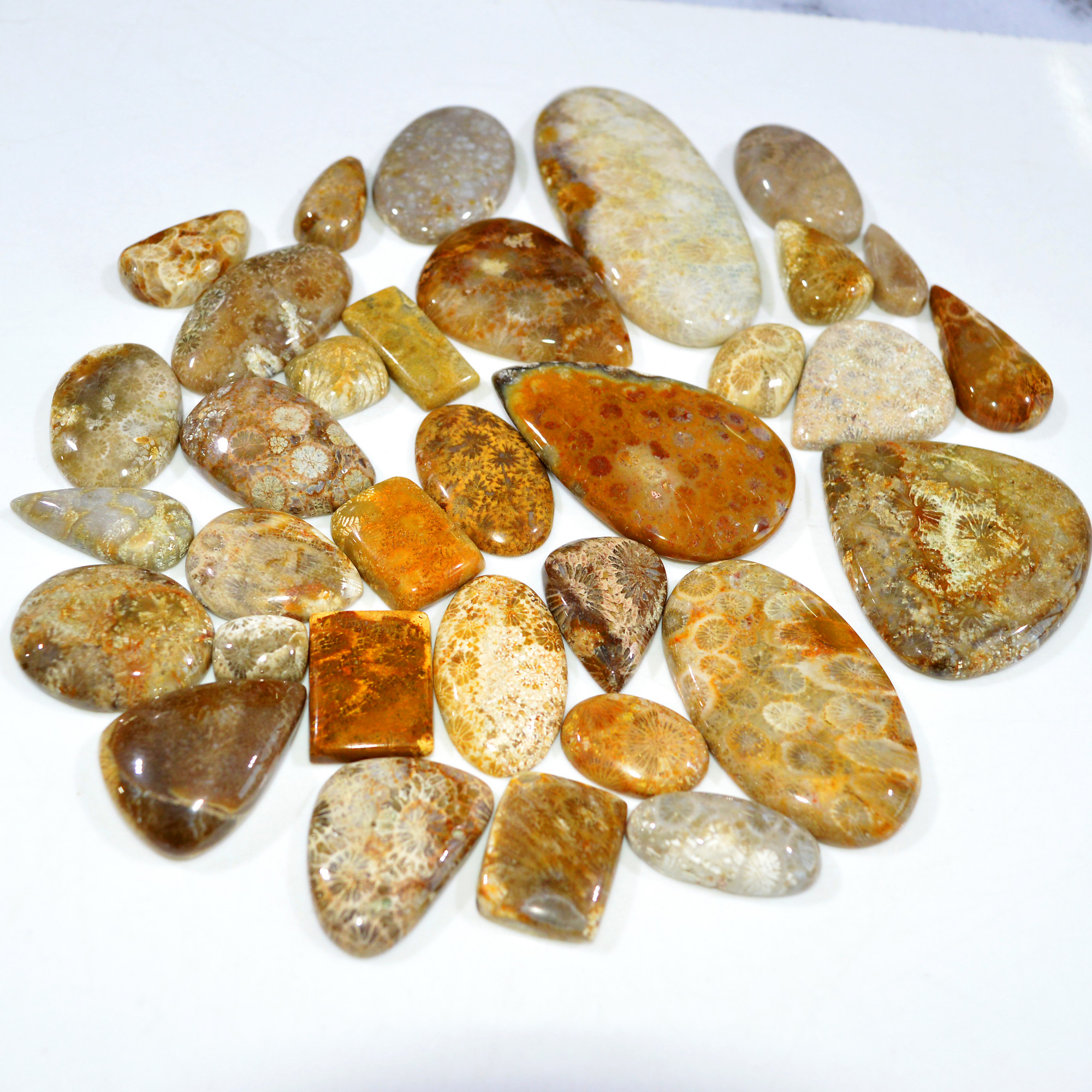 33Pcs 1104Ct Natural Fossil Coral Loose Cabochon Gemstone Lot Mixed Shapes For Pendants Handmade Jewelry Supplies 65x30 20x11mm 3171