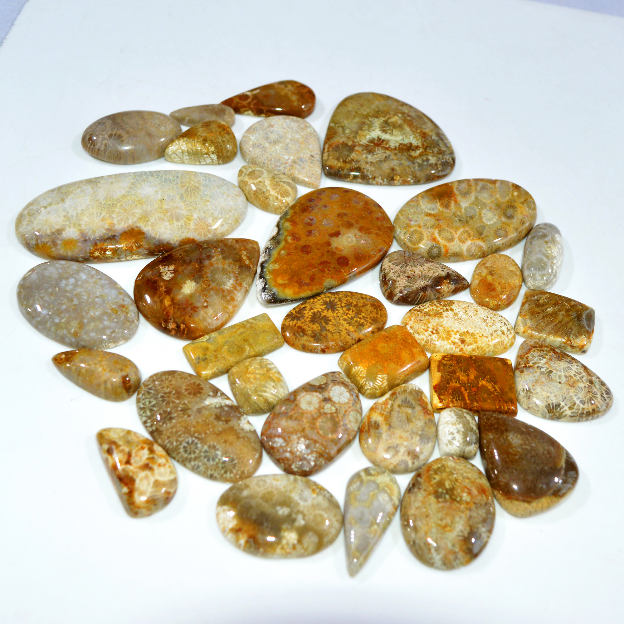 33Pcs 1104Ct Natural Fossil Coral Loose Cabochon Gemstone Lot Mixed Shapes For Pendants Handmade Jewelry Supplies 65x30 20x11mm 3171