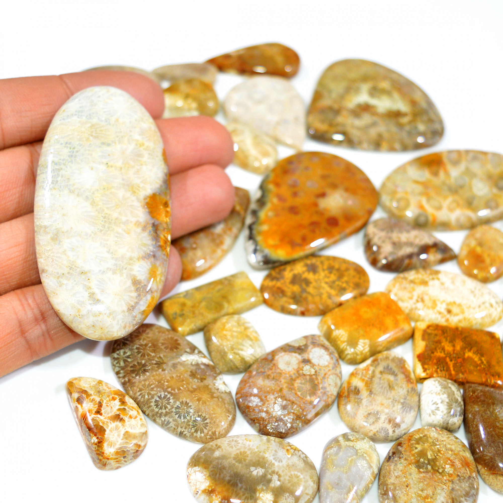 33Pcs 1104Ct Natural Fossil Coral Loose Cabochon Gemstone Lot Mixed Shapes For Pendants Handmade Jewelry Supplies 65x30 20x11mm 3171