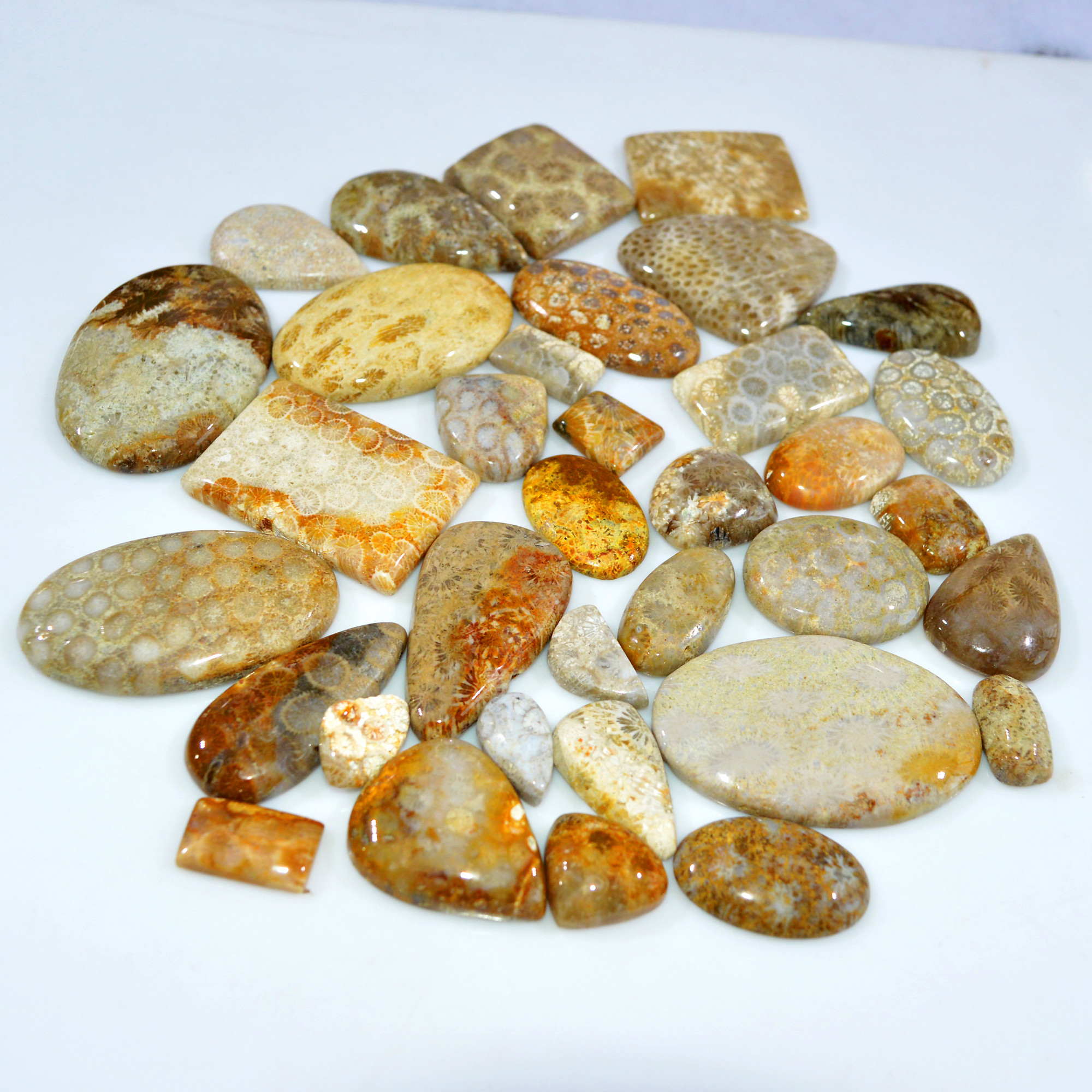 35Pcs 1129Ct Natural Fossil Coral Loose Cabochon Gemstone Lot Mixed Shapes For Pendants Handmade Jewelry Supplies 45x30 15x10mm 3172