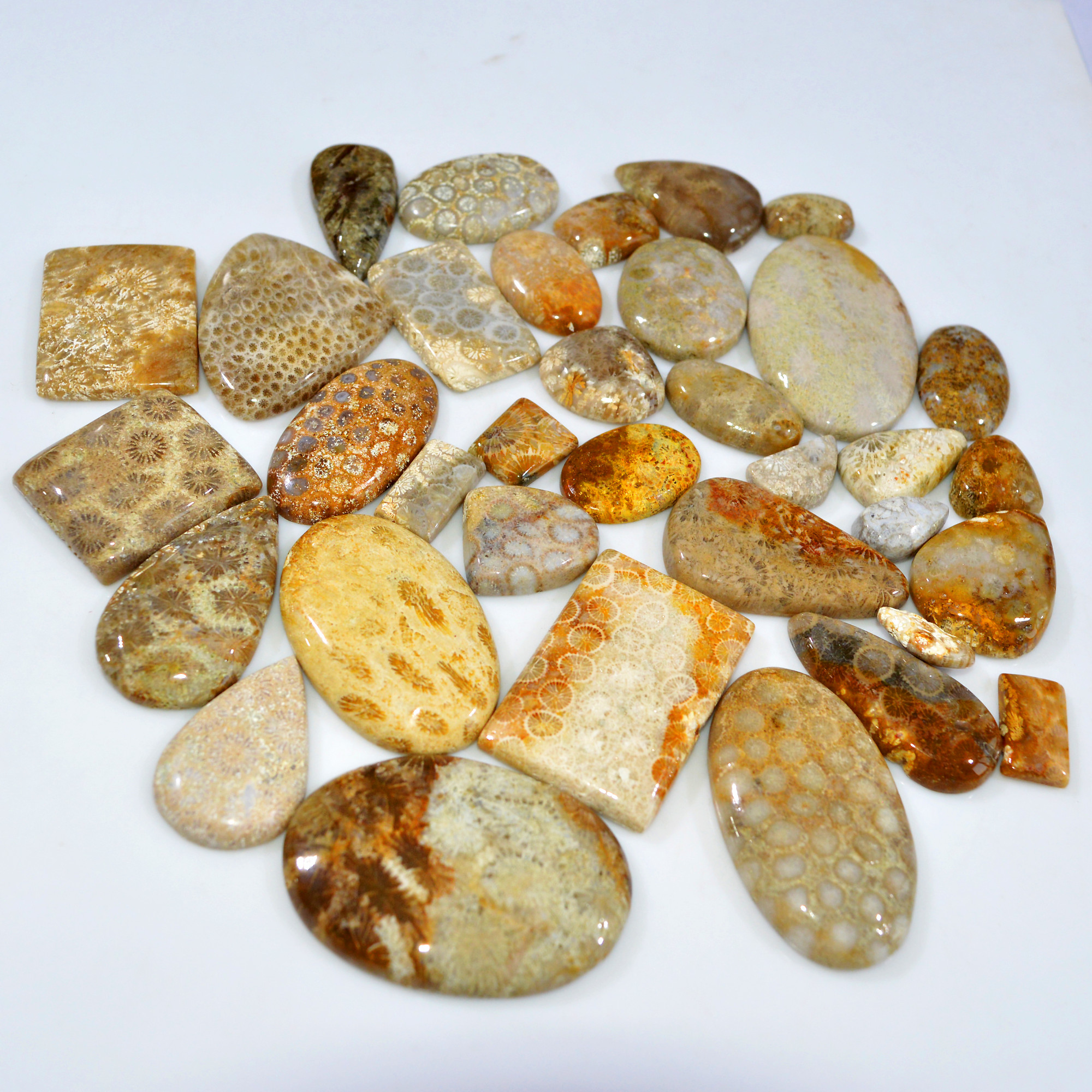 35Pcs 1129Ct Natural Fossil Coral Loose Cabochon Gemstone Lot Mixed Shapes For Pendants Handmade Jewelry Supplies 45x30 15x10mm 3172