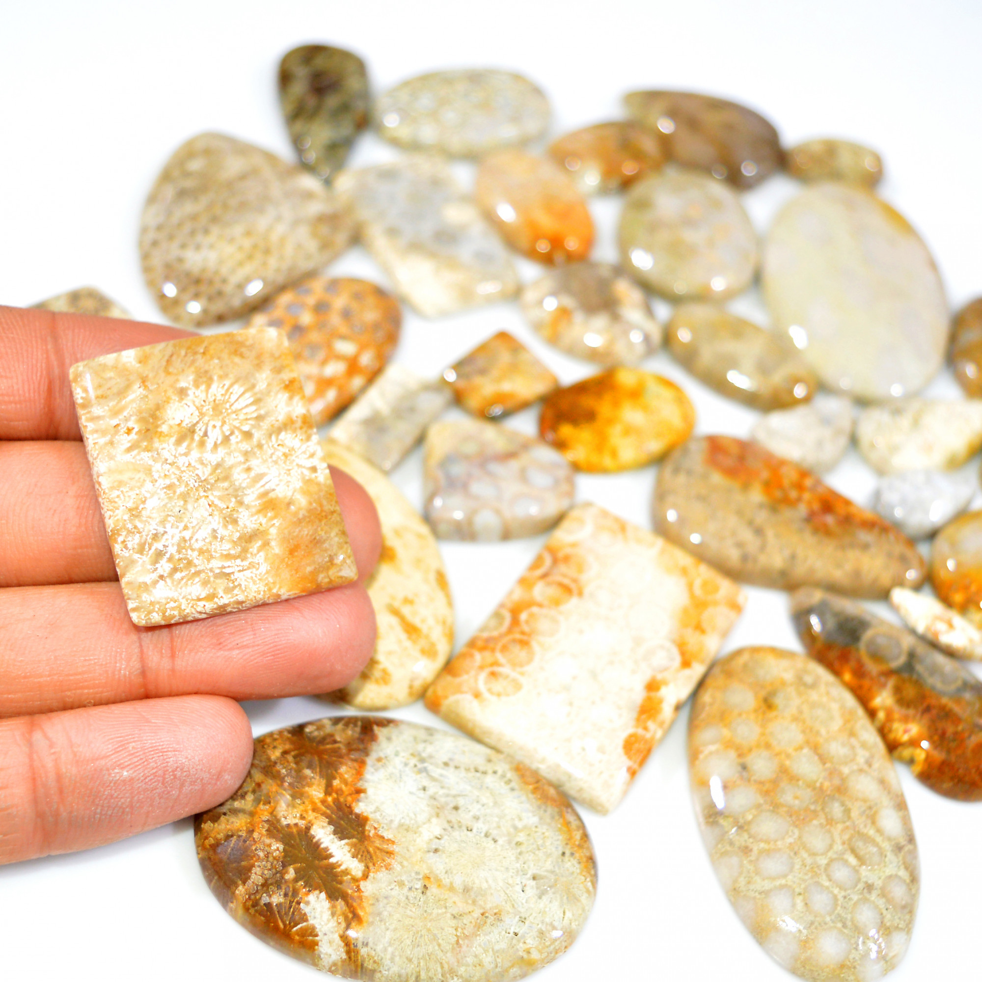 35Pcs 1129Ct Natural Fossil Coral Loose Cabochon Gemstone Lot Mixed Shapes For Pendants Handmade Jewelry Supplies 45x30 15x10mm 3172