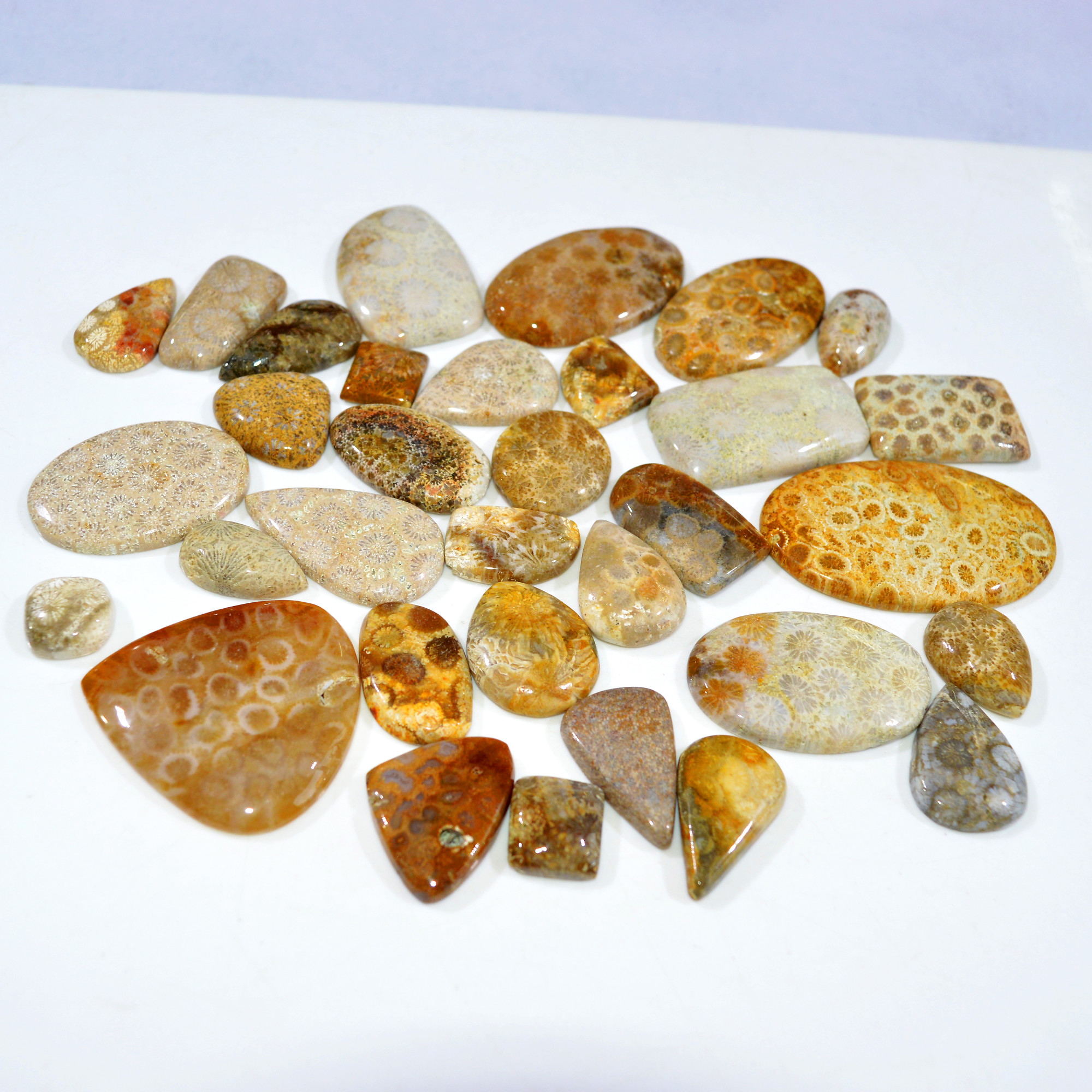 33Pcs 1052Ct Natural Fossil Coral Loose Cabochon Gemstone Lot Mixed Shapes For Pendants Handmade Jewelry Supplies 55x35 14x13mm 3173