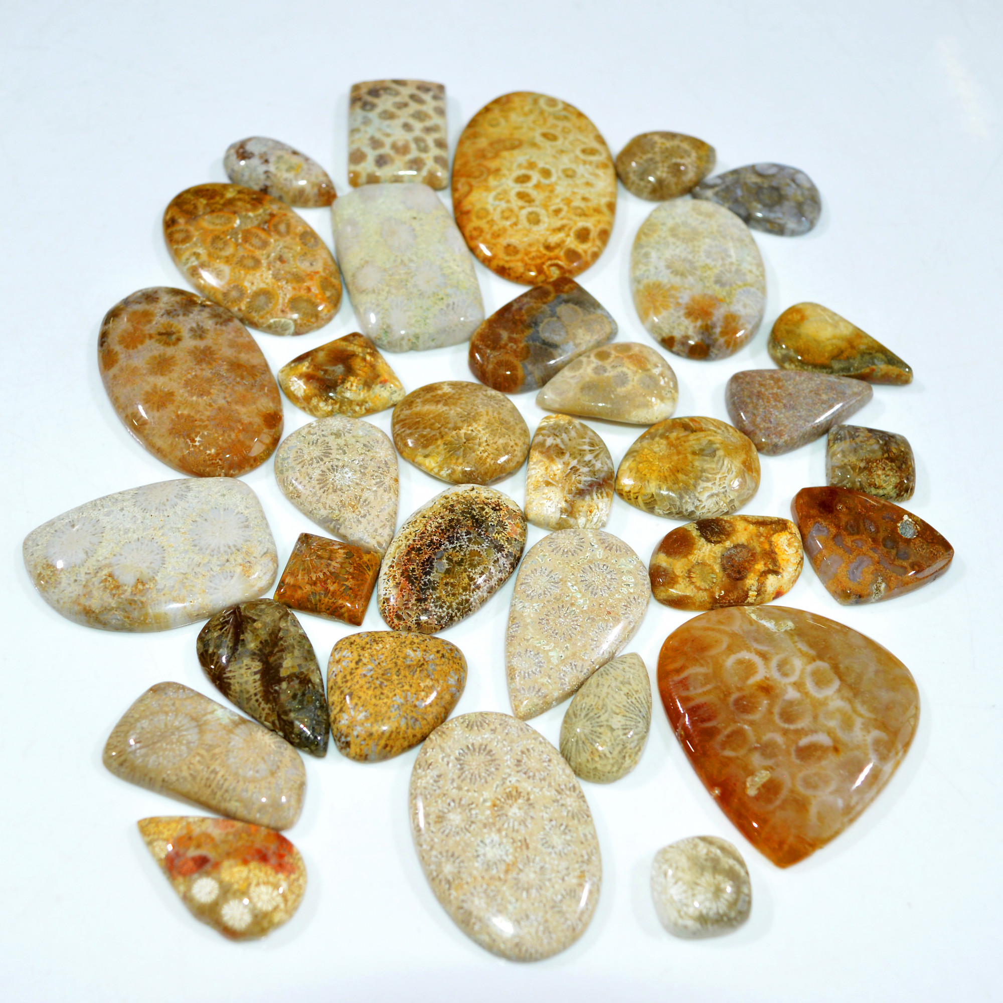 33Pcs 1052Ct Natural Fossil Coral Loose Cabochon Gemstone Lot Mixed Shapes For Pendants Handmade Jewelry Supplies 55x35 14x13mm 3173