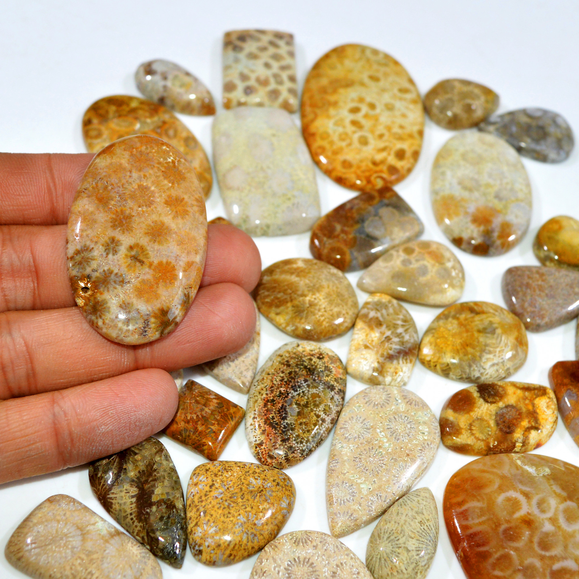 33Pcs 1052Ct Natural Fossil Coral Loose Cabochon Gemstone Lot Mixed Shapes For Pendants Handmade Jewelry Supplies 55x35 14x13mm 3173
