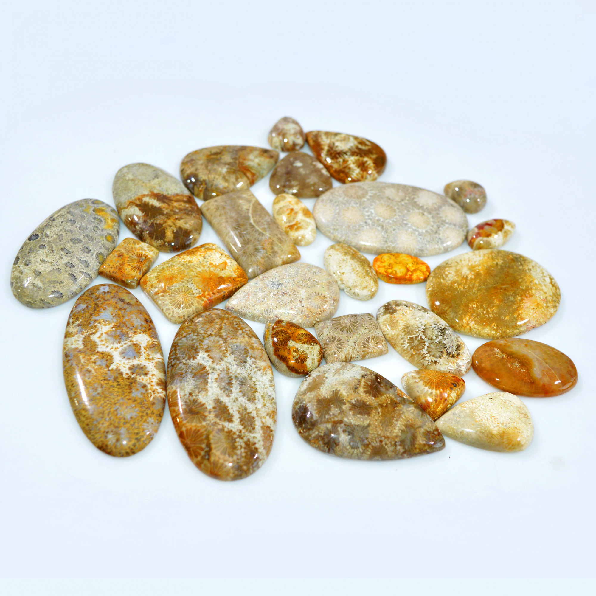 25Pcs 972Ct Natural Fossil Coral Loose Cabochon Gemstone Lot Mixed Shapes For Pendants Handmade Jewelry Supplies 55x30 15x10mm 3174