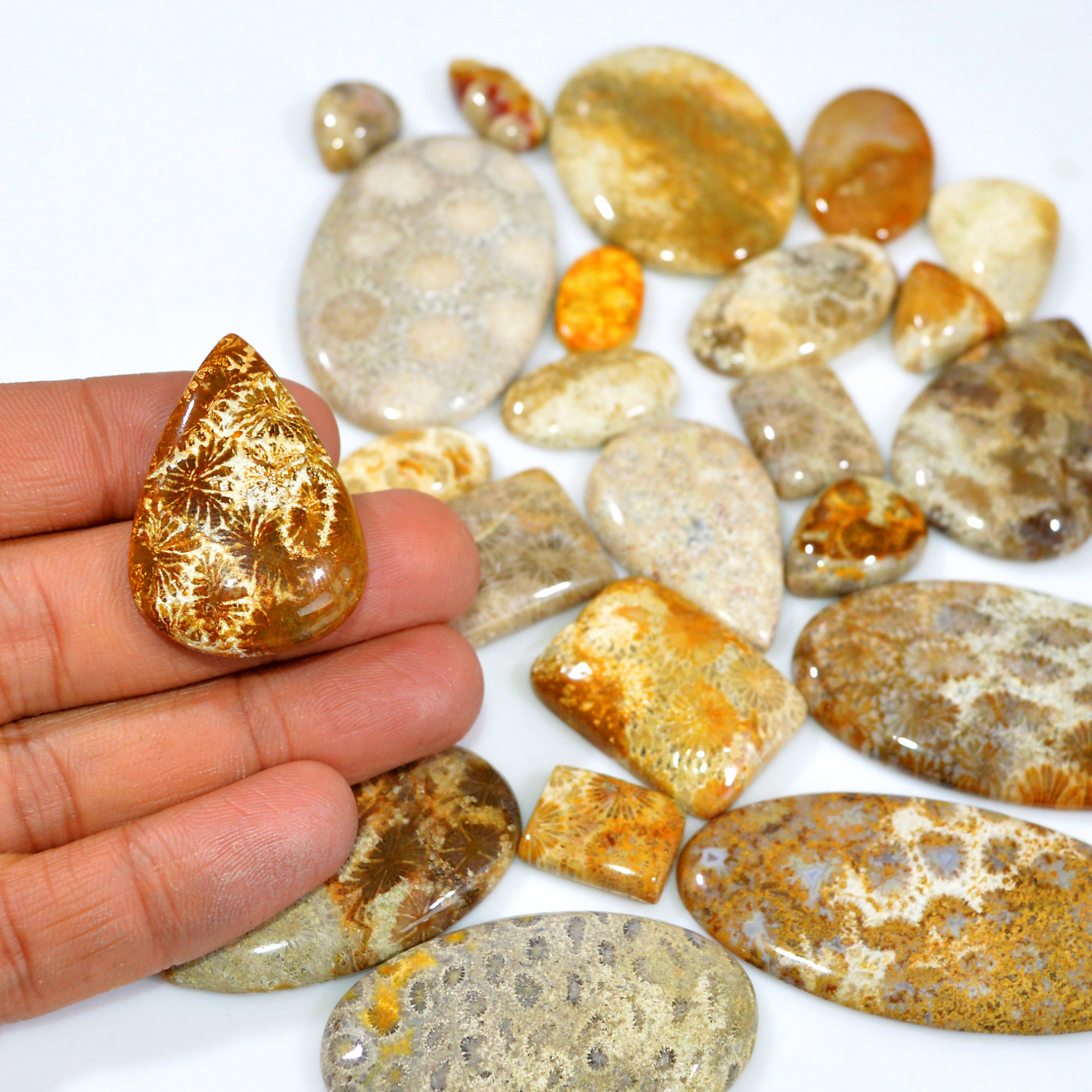 25Pcs 972Ct Natural Fossil Coral Loose Cabochon Gemstone Lot Mixed Shapes For Pendants Handmade Jewelry Supplies 55x30 15x10mm 3174