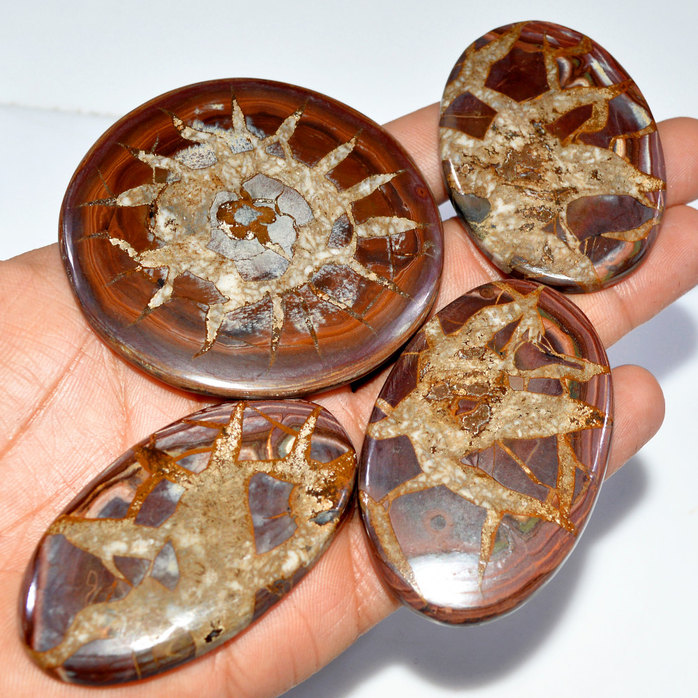 Image of 4 Pcs 595 Cts Natural Septarian Cabochon Loose Gemstone Lot 64x64 55x39mm #3623