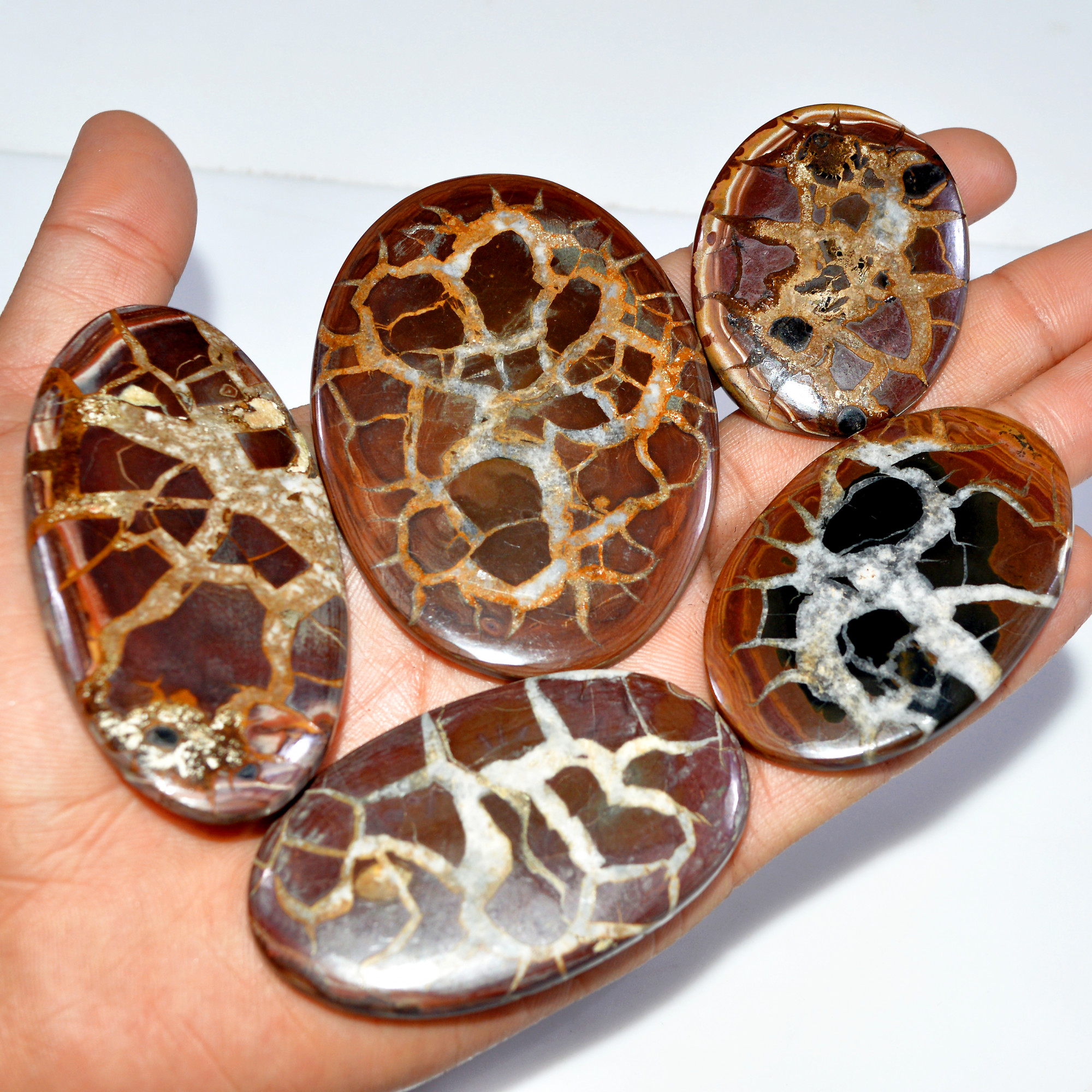 5 Pcs 650 Cts Natural Septarian Cabochon Loose Gemstone Lot 75x63 50x39mm 3624