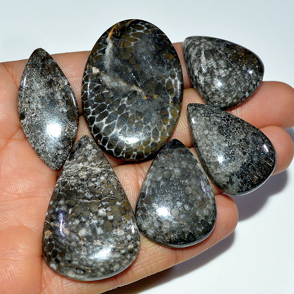 6 Pcs 280 Cts Natural Fossil Coral Cabochon Loose Gemstone 45x30 27x22mm 3678