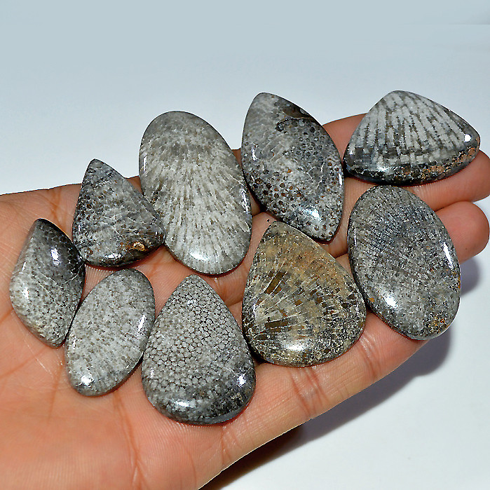 9 Pcs 440 Cts Natural Fossil Coral Cabochon Loose Gemstone 45x25 30x20mm 3679