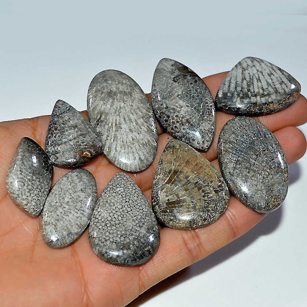 Image of 9 Pcs 440 Cts Natural Fossil Coral Cabochon Loose Gemstone 45x25 30x20mm #3679