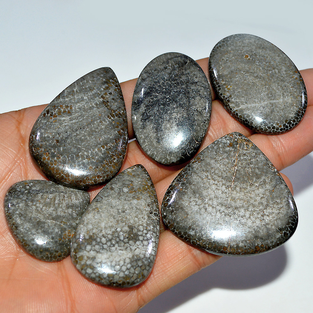 6 Pcs 446 Cts Natural Fossil Coral Cabochon Loose Gemstone 46x31 30x28mm 3680