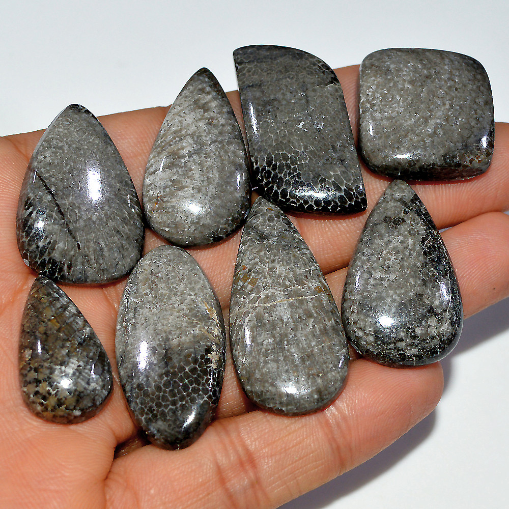 9 Pcs 323 Cts Natural Fossil Coral Cabochon Loose Gemstone 40x18 25x14mm 3681