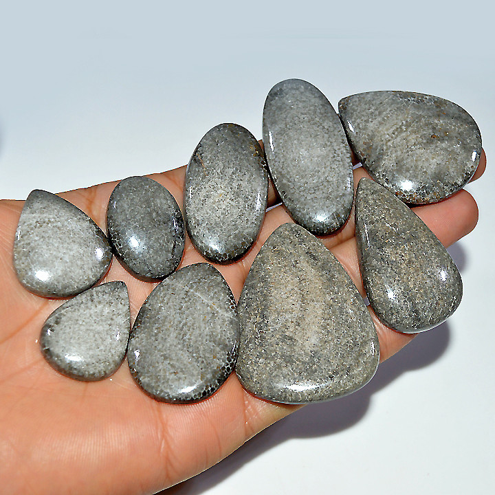 8 Pcs 548 Cts Natural Fossil Coral Cabochon Loose Gemstone 52x37 30x20mm 3682
