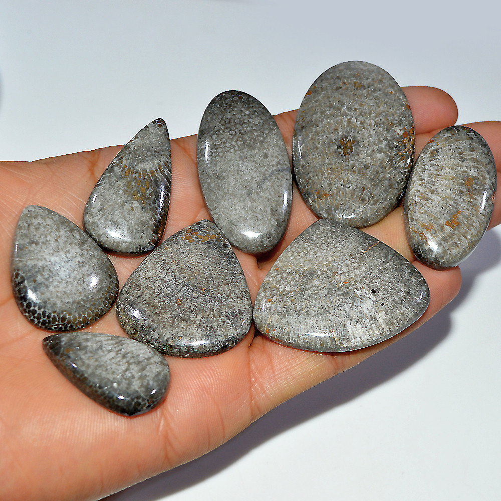 8 Pcs 470 Cts Natural Fossil Coral Cabochon Loose Gemstone 50x30 32x24mm 3683