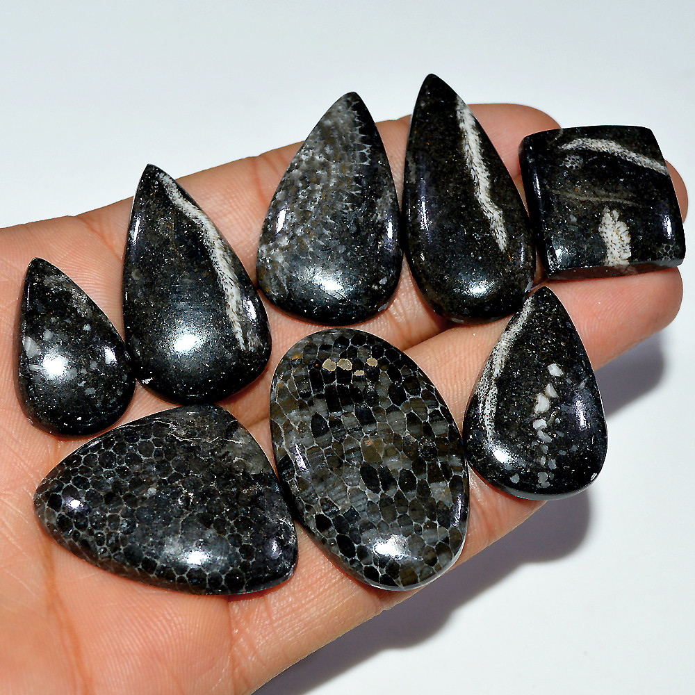 8 Pcs 339 Cts Natural Fossil Coral Cabochon Loose Gemstone 42x17 23x21mm 3684