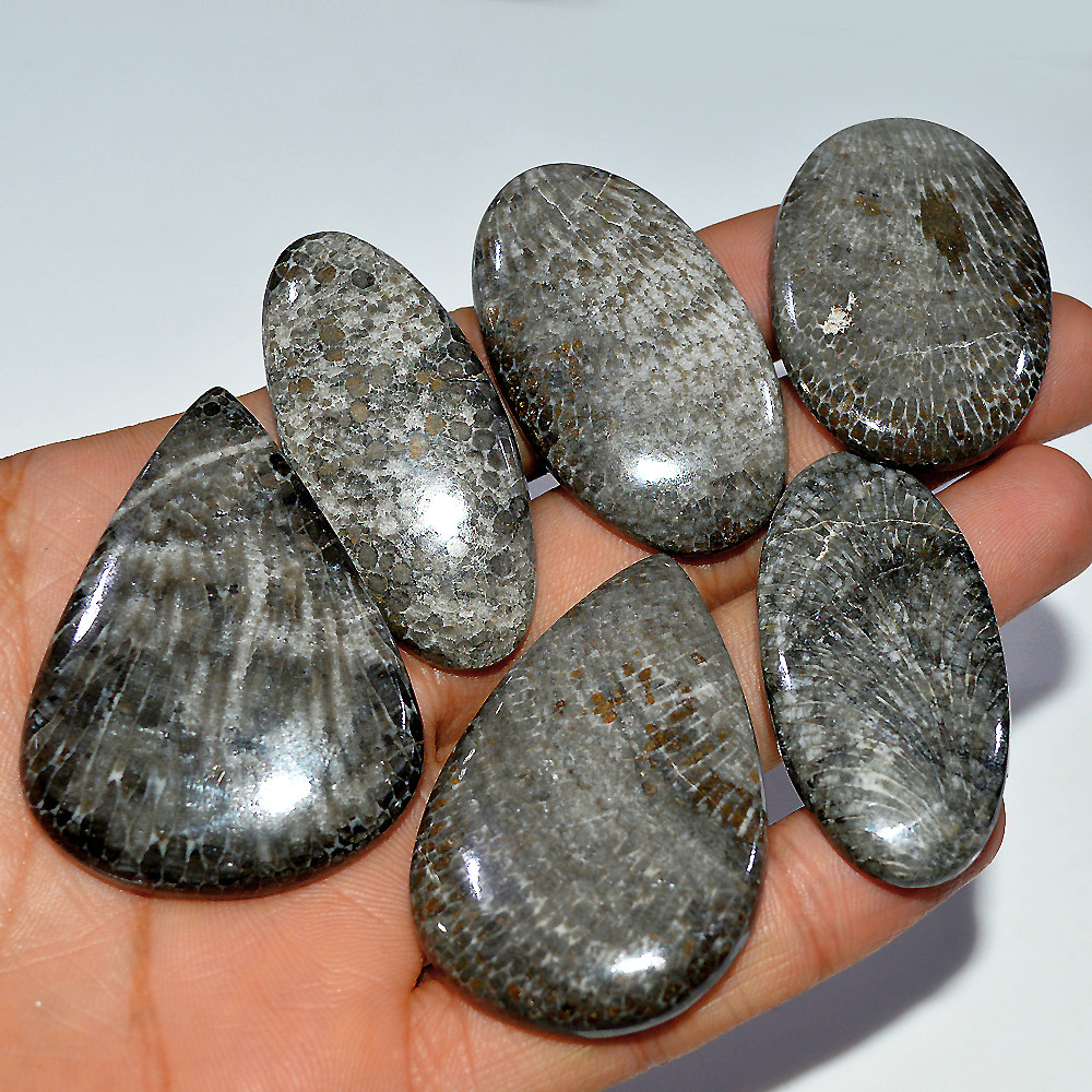 6 Pcs 463 Cts Natural Fossil Coral Cabochon Loose Gemstone 50x36 40x29mm 3685