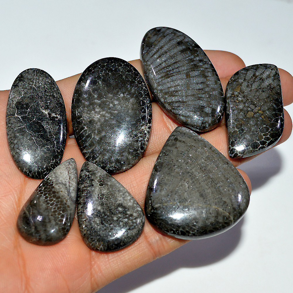 7 Pcs 416 Cts Natural Fossil Coral Cabochon Loose Gemstone 47x23 34x17mm 3686
