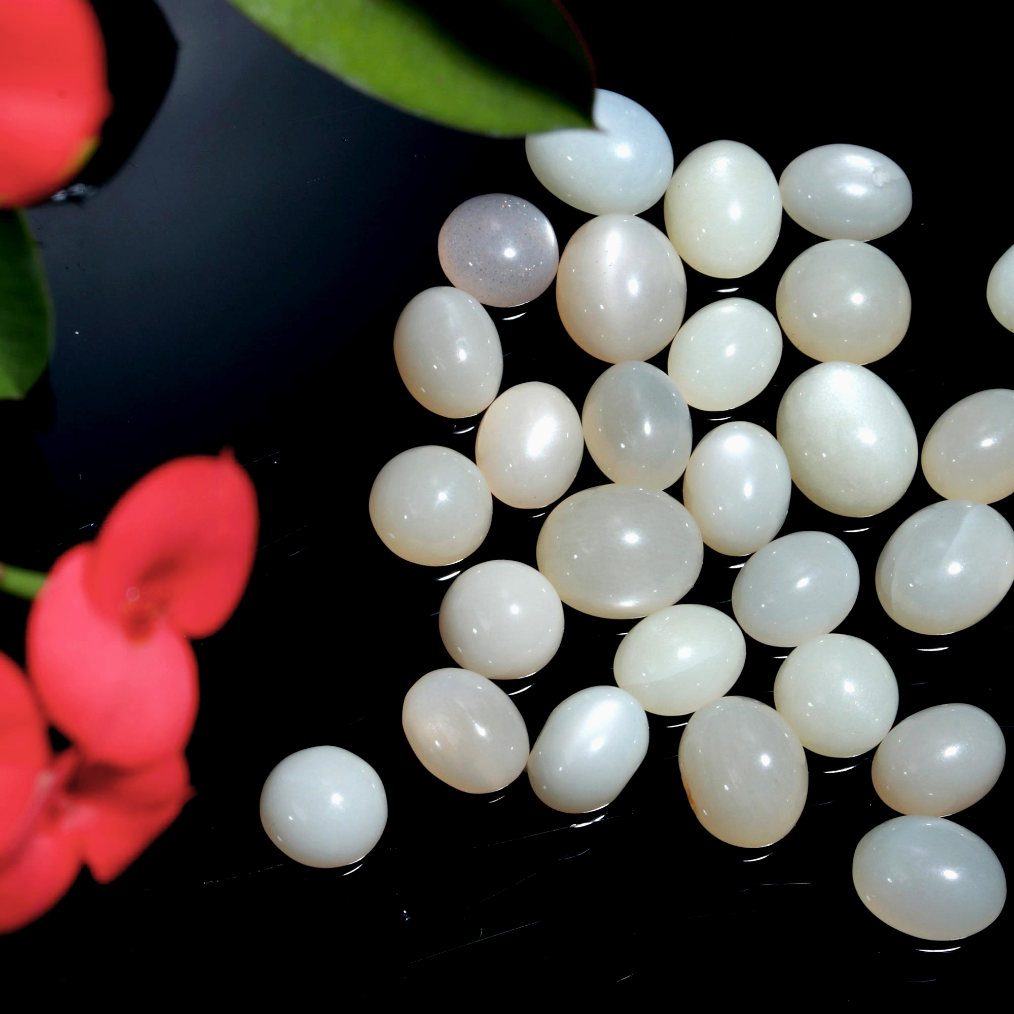 29 Pcs. 66Cts. Natural White Rainbow Moonstone polished Mix Cabochon Wholesale Loose Lot Size 11x9 8x8mm Gemstone for jewelry