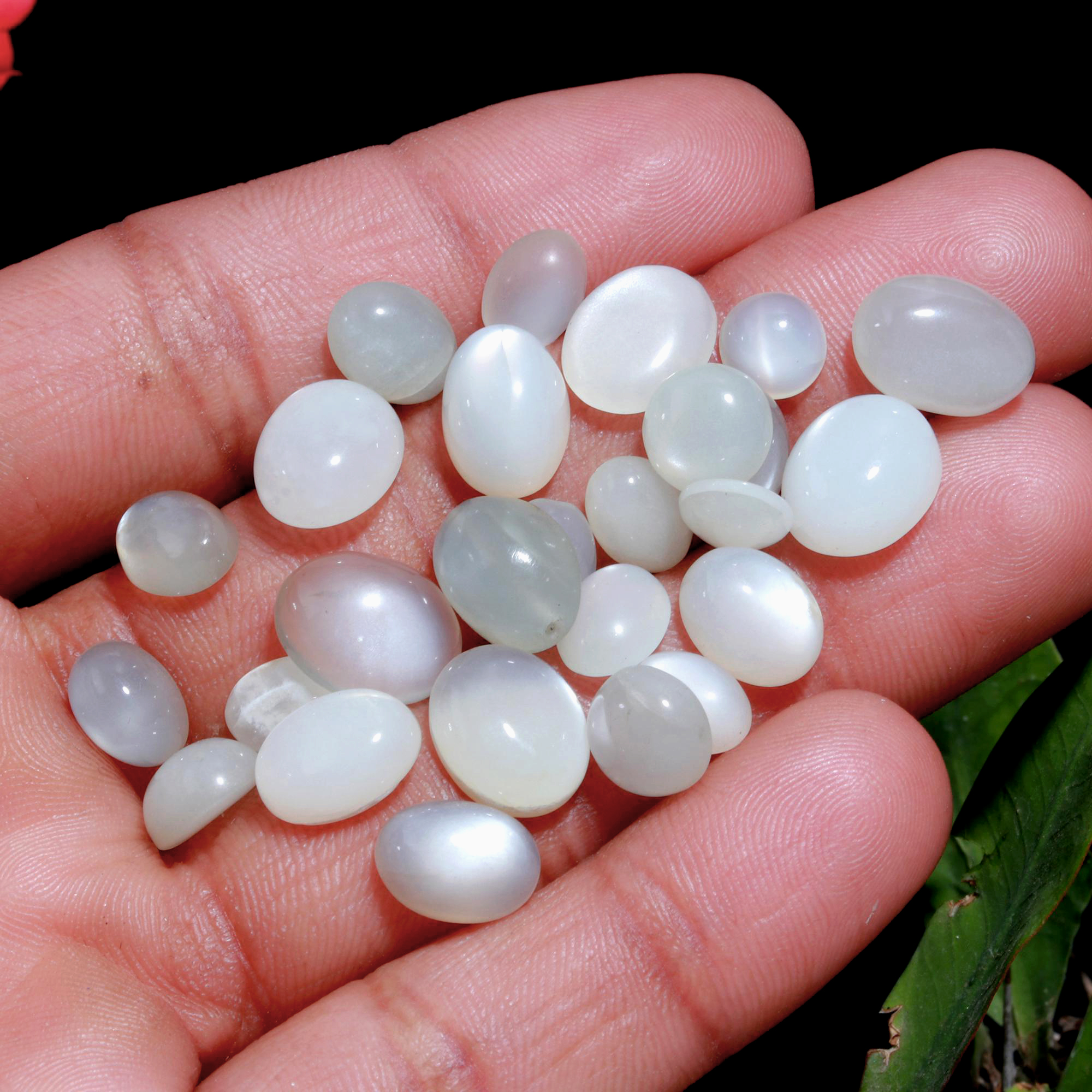 34 Pcs. 74Cts. Natural Grey Rainbow Moonstone polished Mix Cabochon Wholesale Loose Lot Size 12x9 7x7mm Gemstone for jewelry