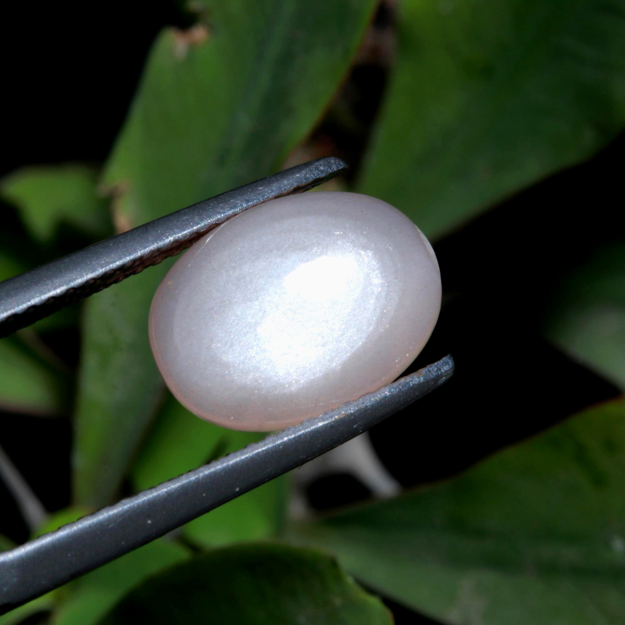 27 Pcs 145Cts Natural Peach Rainbow Moonstone polished Mix Cabochon Wholesale Loose Lot Size 26x26 8x8mm Gemstone for jewelry1137