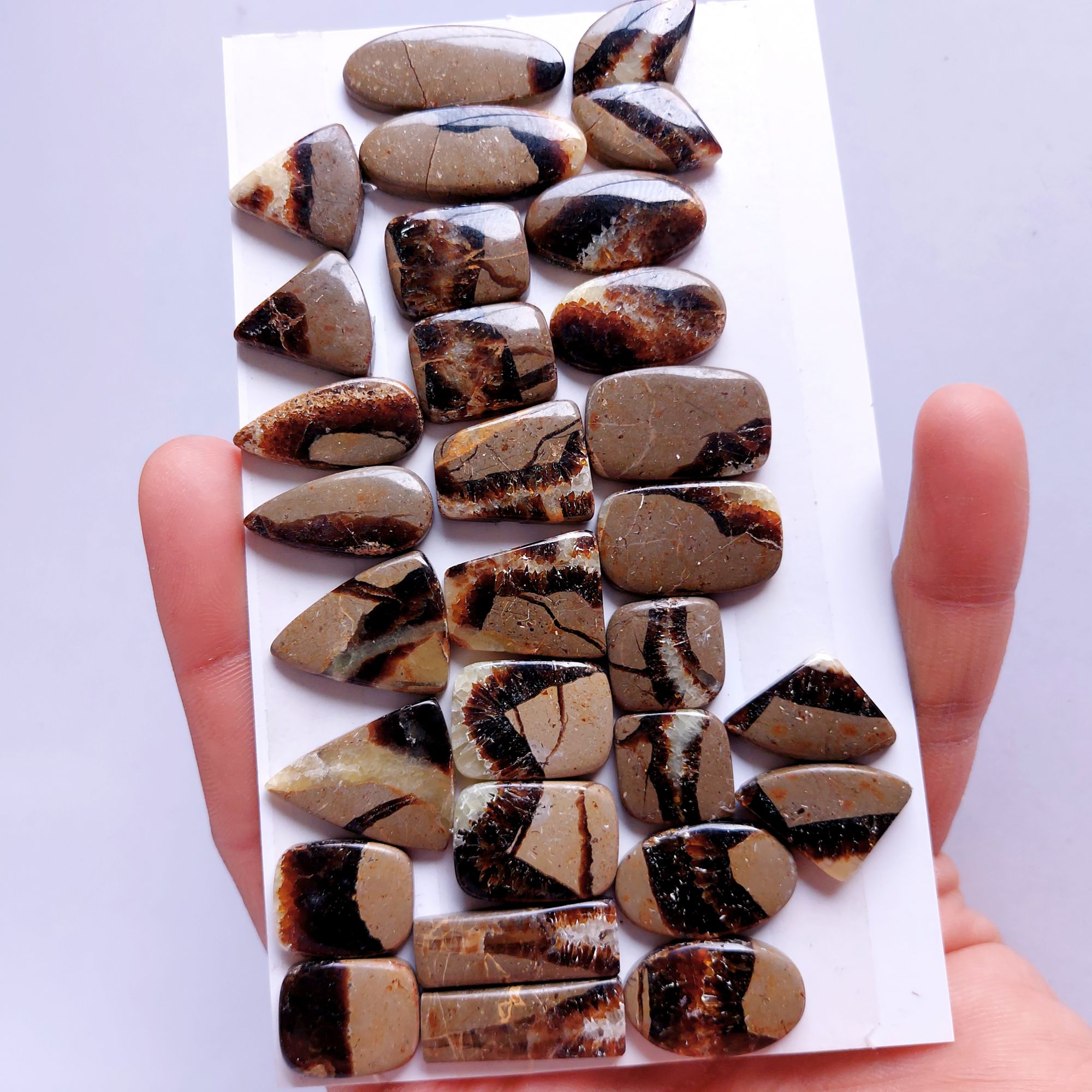 15 Pair 325Cts Natural Septarian Cabochon Pair Loose Gemstone For Jewelry Wholesale Lot Size 28x12 17x14mm
