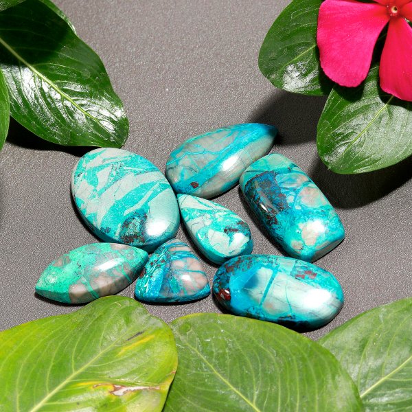 168.Cts 7 Pcs Natural Smooth Chrysocolla Mix Cabochon Loose Gemstone Wholesale Lot Size 30x20 15x15mm#1148