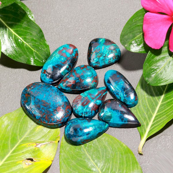 211.Cts 8 Pcs Natural Smooth Chrysocolla Mix Cabochon Loose Gemstone Wholesale Lot Size 31x21 18x18mm#1149