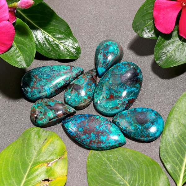 296.Cts 7 Pcs Natural Smooth Chrysocolla Mix Cabochon Loose Gemstone Wholesale Lot Size 35x23 24x15mm#1150