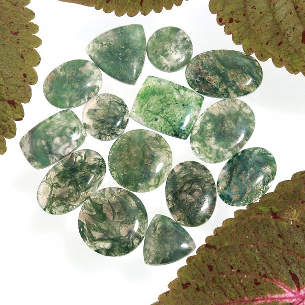 14Pcs lot 281Cts Natural Green Moss Agate Cabochon Lots Mixed Shapes And Sizes Moss Agate loose gemstone Cabochon Wholesale Lot 24x24 16x16mm
