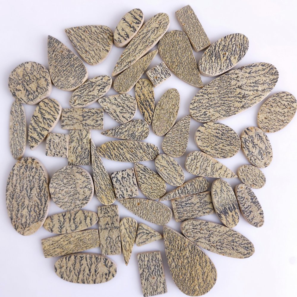 48Pcs 787Cts  Natural Manganese Oxide Dendrites Cabochon Jewelry Dendritic Limestone Rocks Minerals Specimen Manganese and Iron Oxide Dendrites From Solnhofen Unpolish Gemstone 53x22 14x11mm#G-524