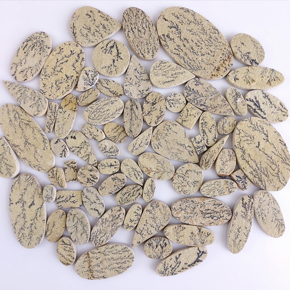 68Pcs 1639Cts  Natural Manganese Oxide Dendrites Cabochon Jewelry Dendritic Limestone Rocks Minerals Specimen Manganese and Iron Oxide Dendrites From Solnhofen Unpolish Gemstone 67x37 10x5mm#G-528