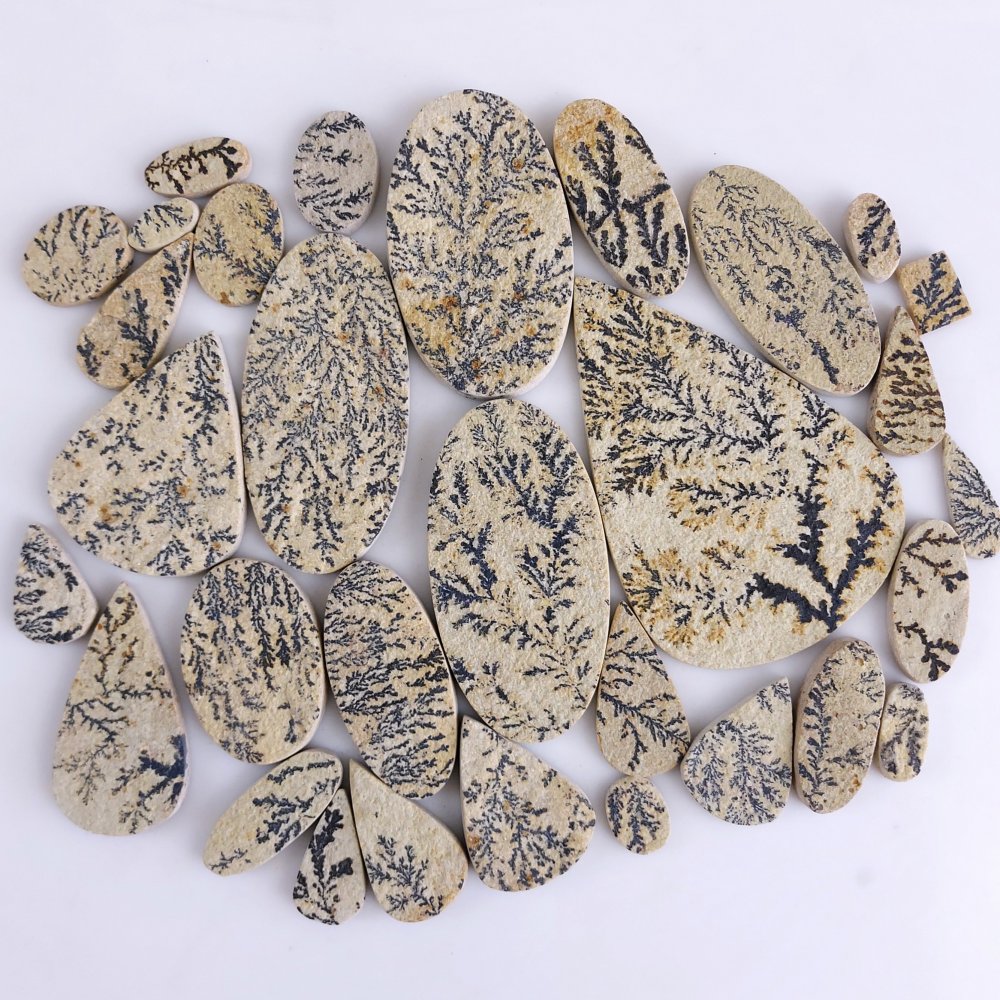 31Pcs 1113Cts  Natural Manganese Oxide Dendrites Cabochon Jewelry Dendritic Limestone Rocks Minerals Specimen Manganese and Iron Oxide Dendrites From Solnhofen Unpolish Gemstone 85x55 12x5mm#G-532